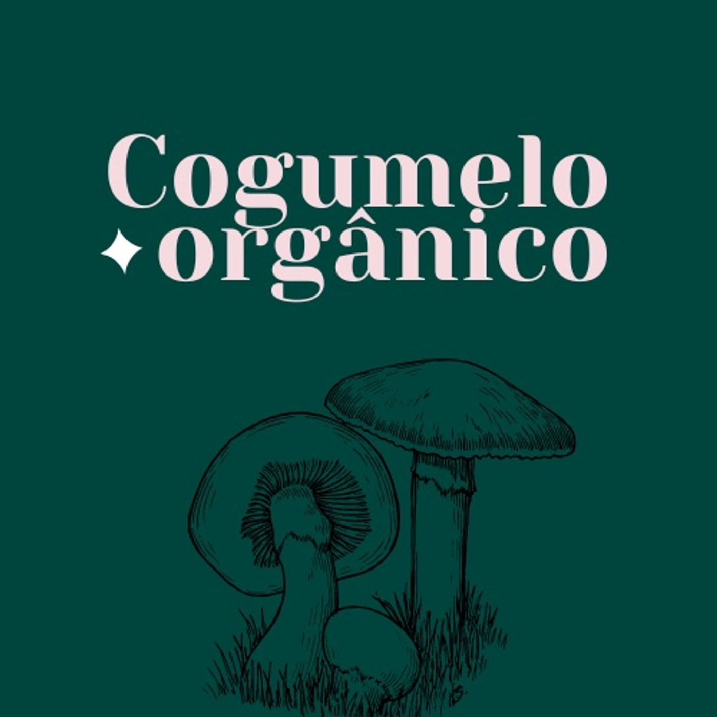 Cogumelo orgânico