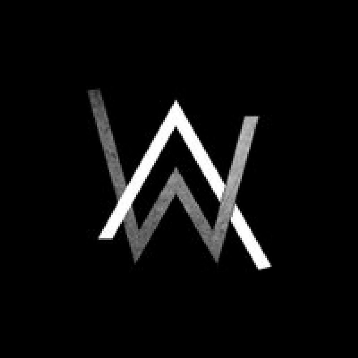 El show de Alan Walker