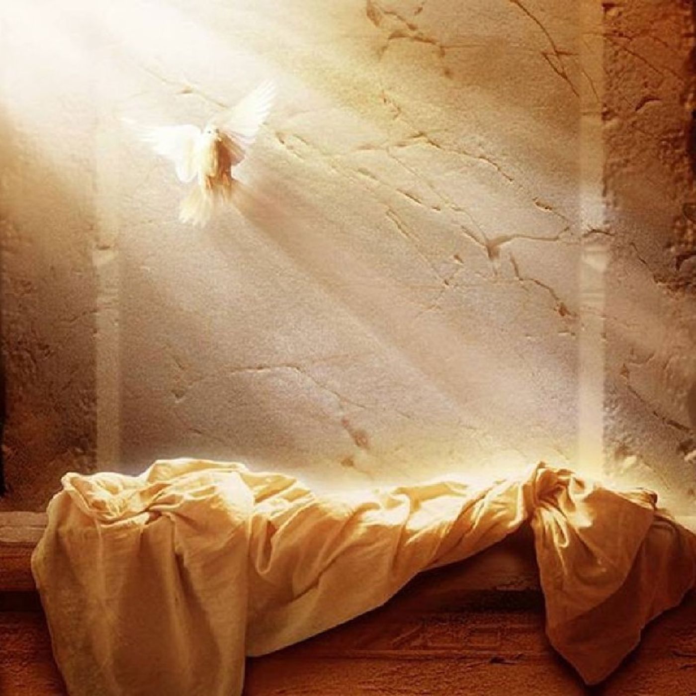 Fratellanza Cristiana