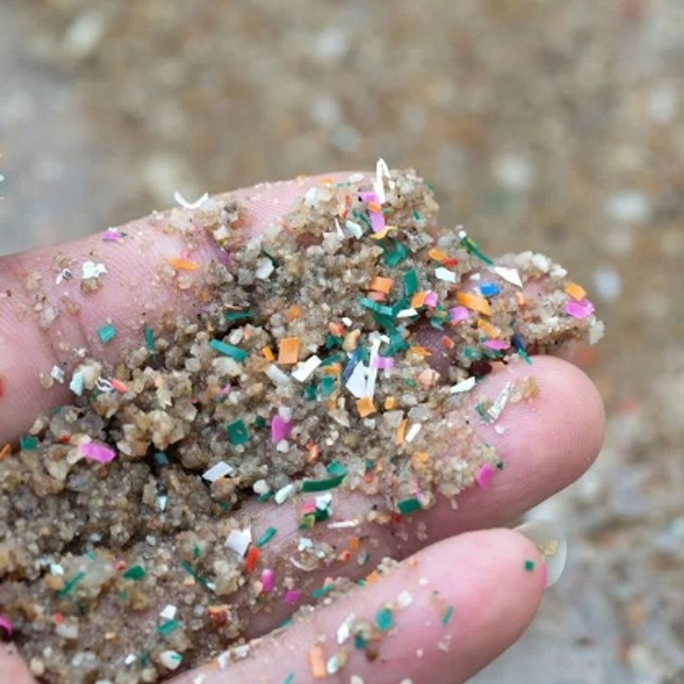 Projeto internacional, com participação do LABOMAR, chama a atenção para a poluição marinha por microplásticos