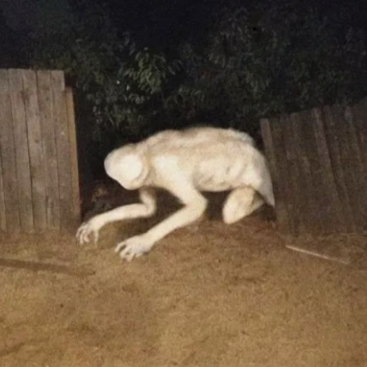 El Nahual Blanco Historias De Terror - REDE