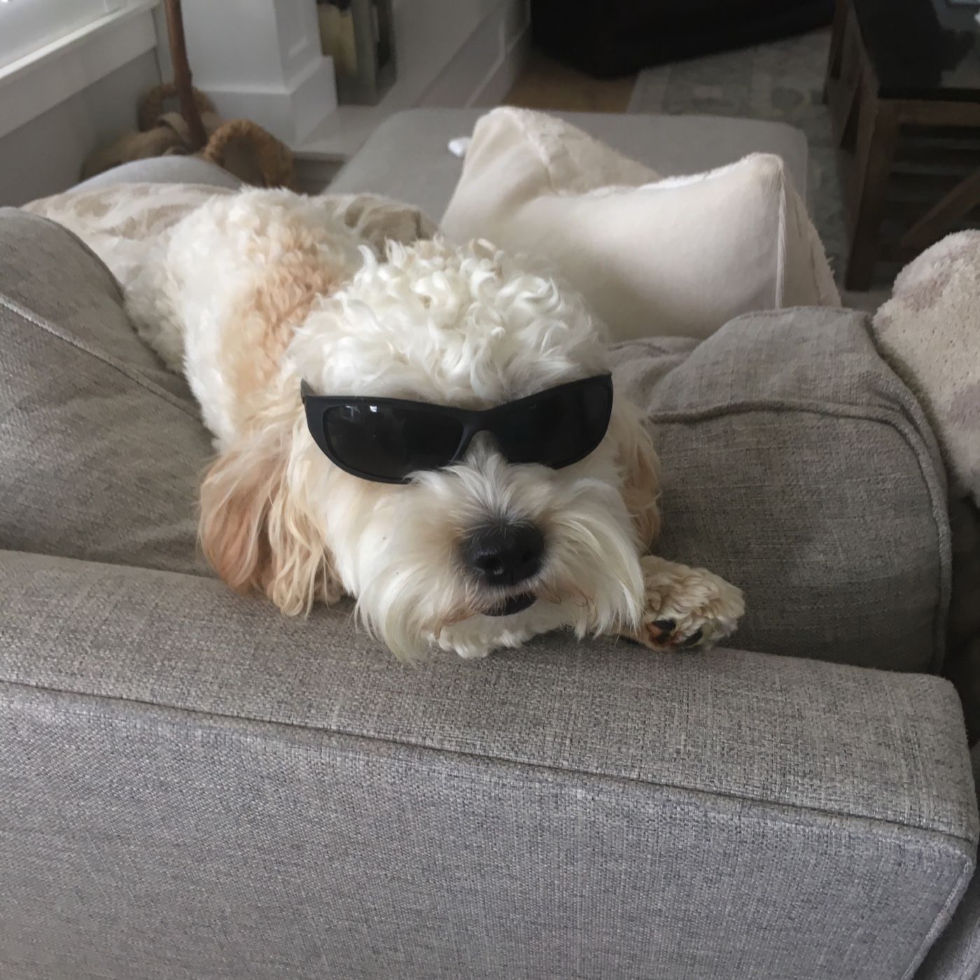 Here’s The Thing Podcast