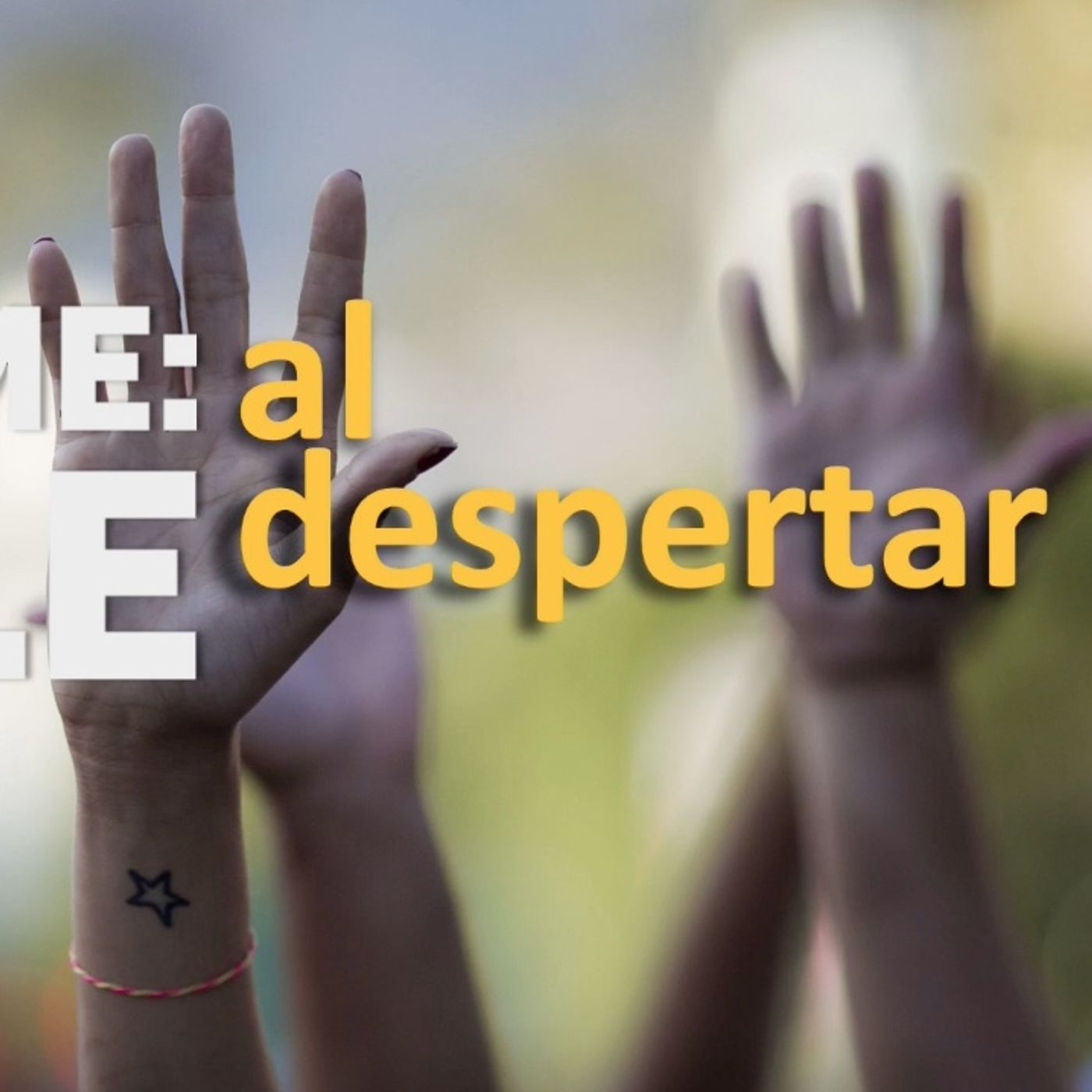 Al Despertar · Una entrevista a María Belen Rojas, Candidata a Constituyente episode artwork