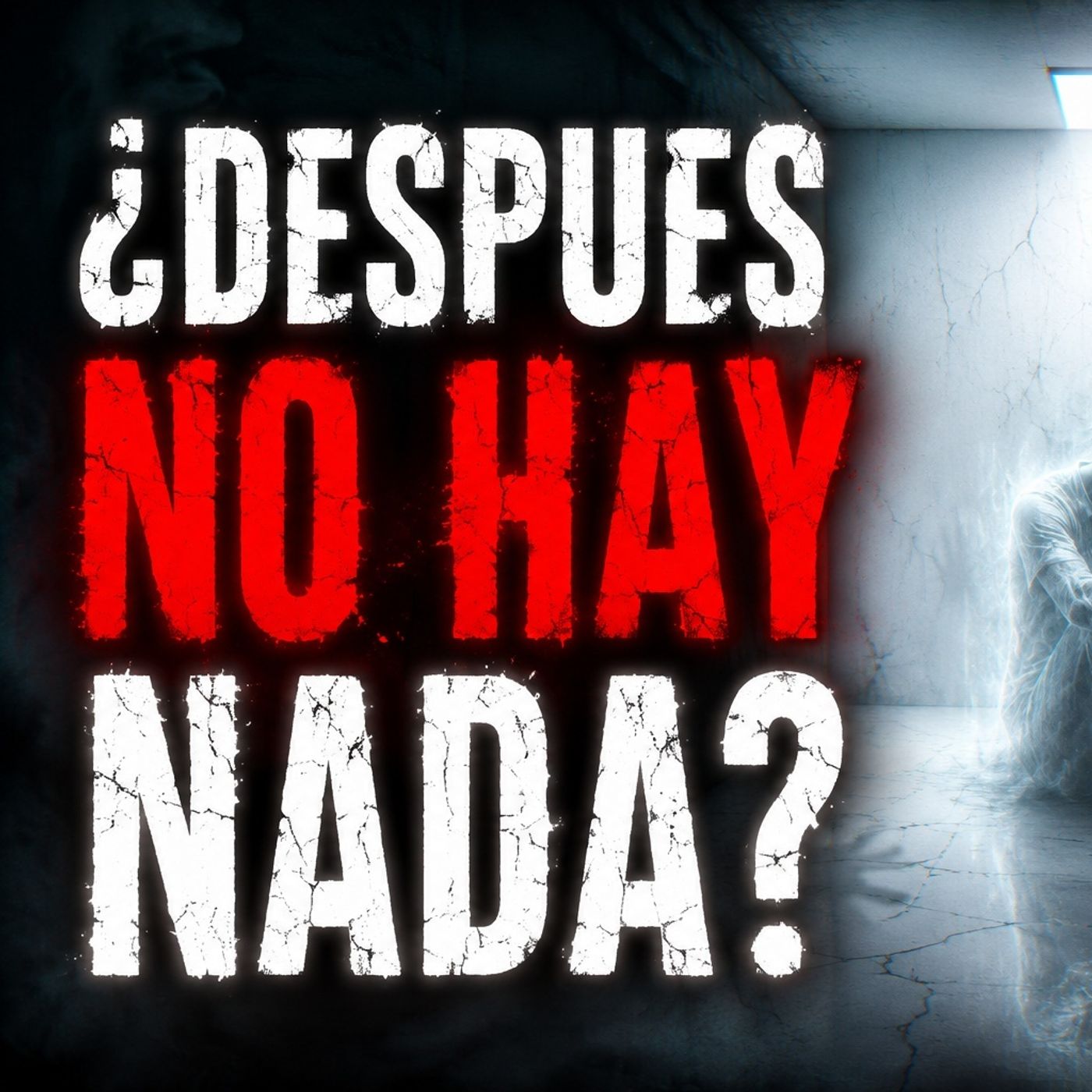 Historias de Miedo Mayo 27 de 2026 ¿DESPUES NO HAY NADA?