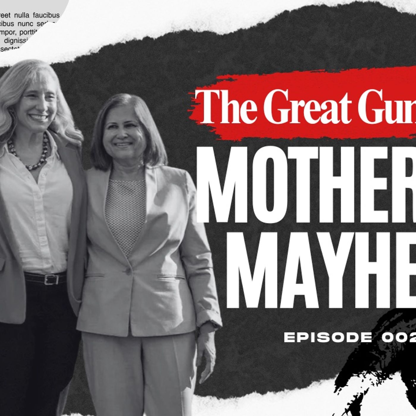 Mother of Mayhem - Virginia Gun Grab