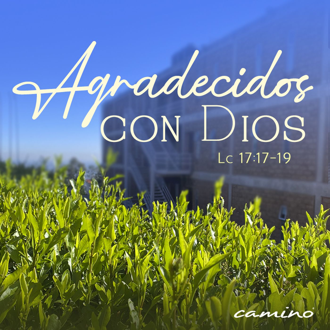 Oración 25 de septiembre (Agradecidos con Dios) episode artwork