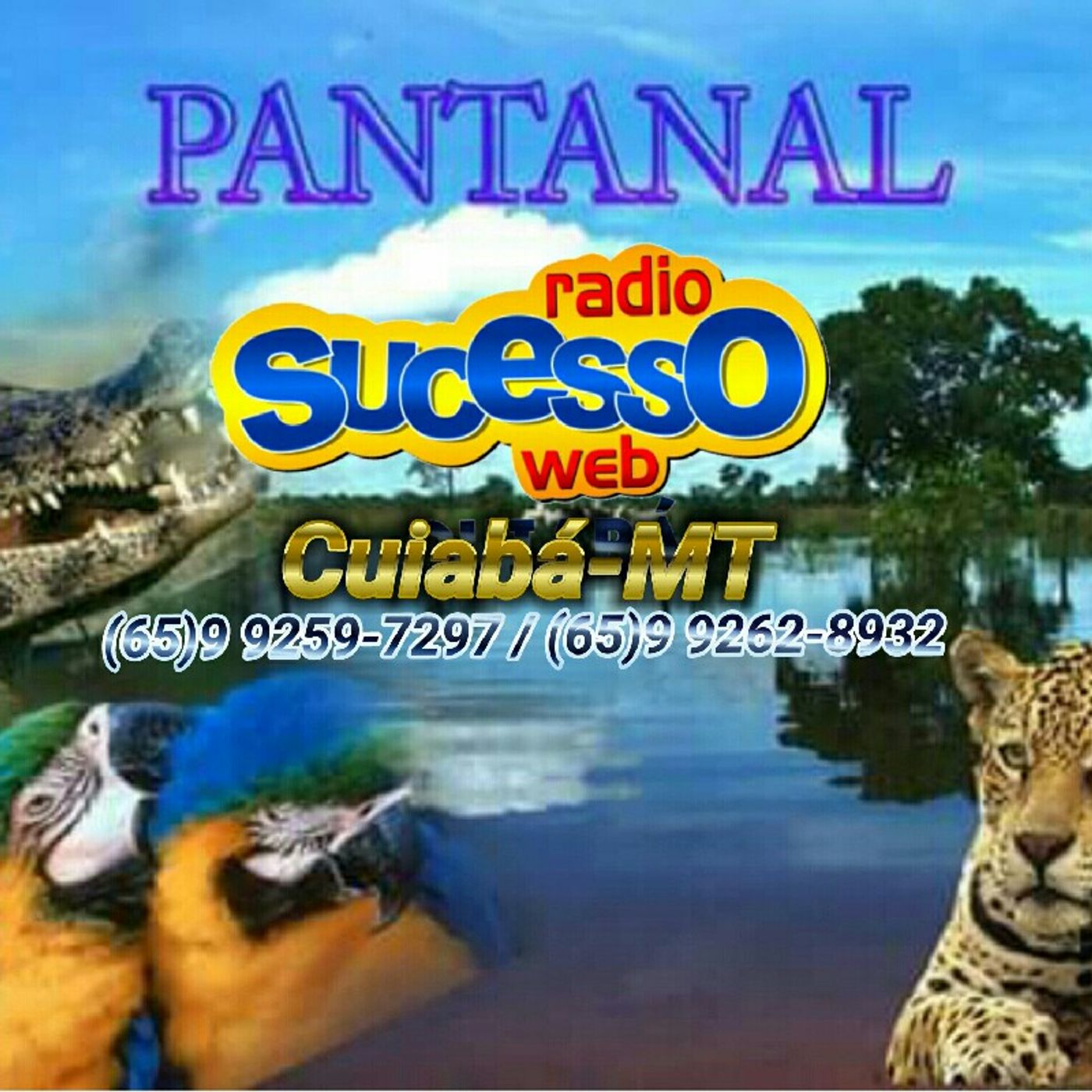 Sucesso Web Cuiabá