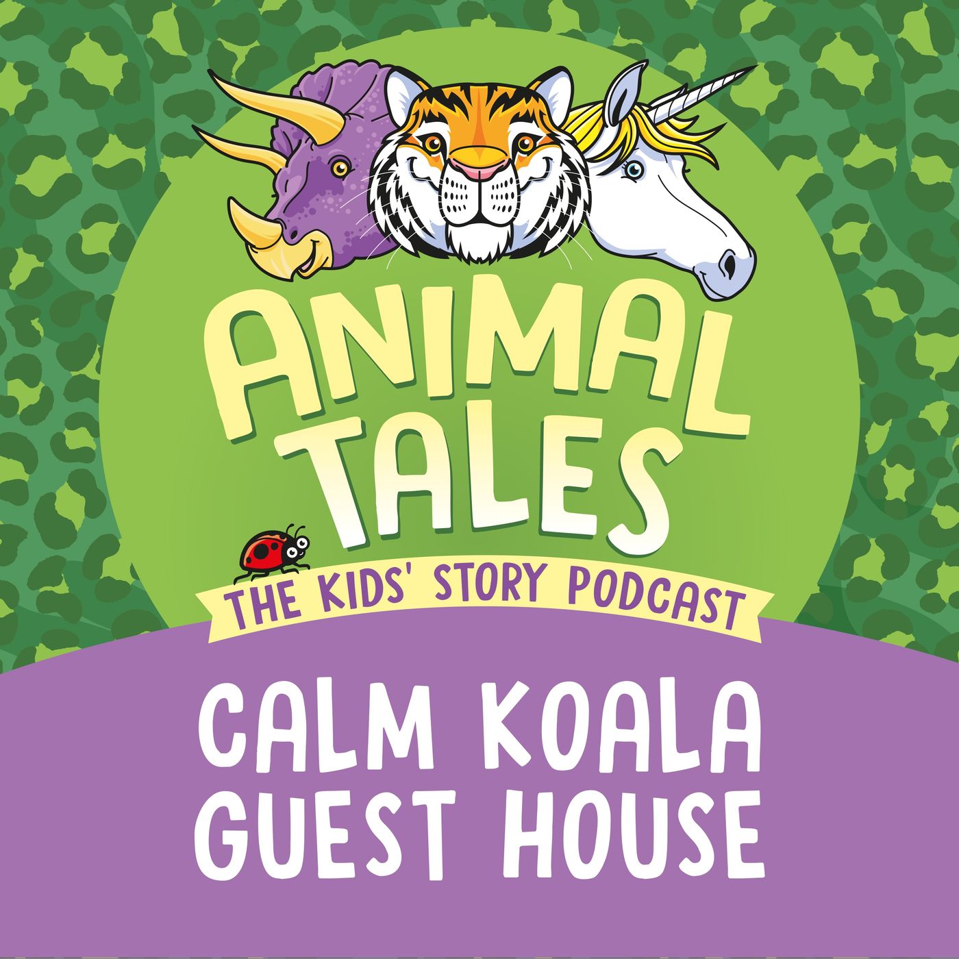 Calm Koala Guest House