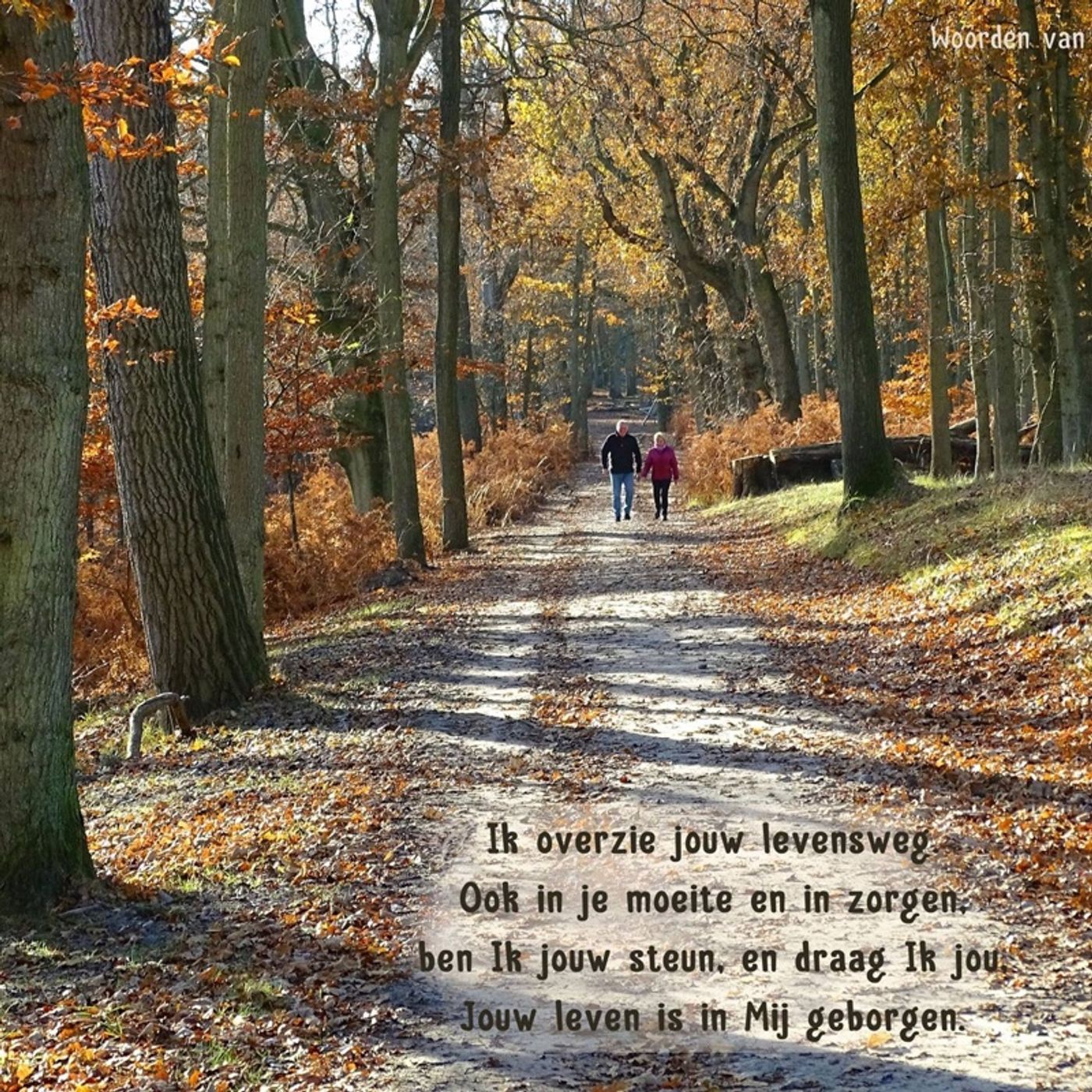 Immersed In His Glory; Abiding In God
