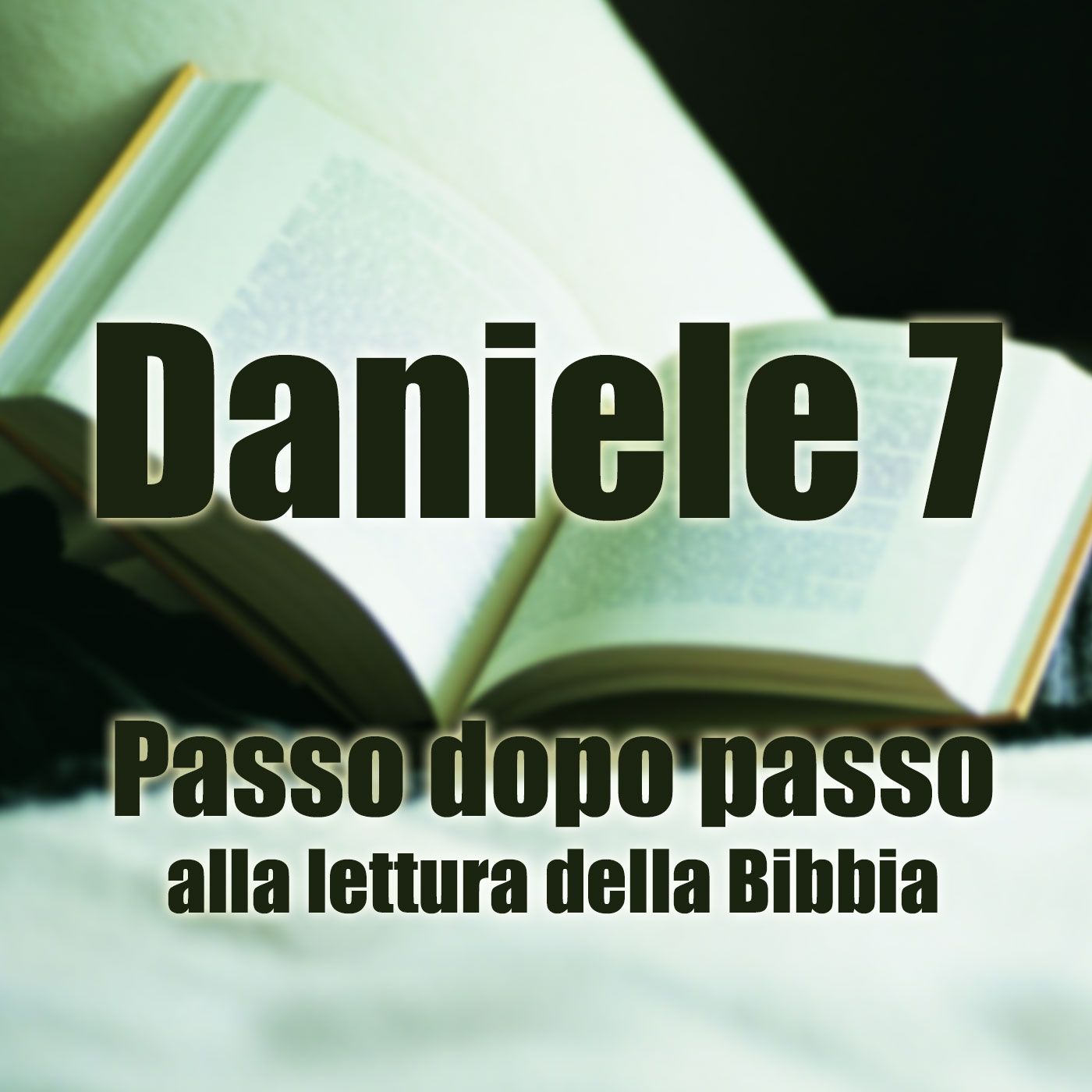 Passo dopo passo alla lettura della Bibbia
