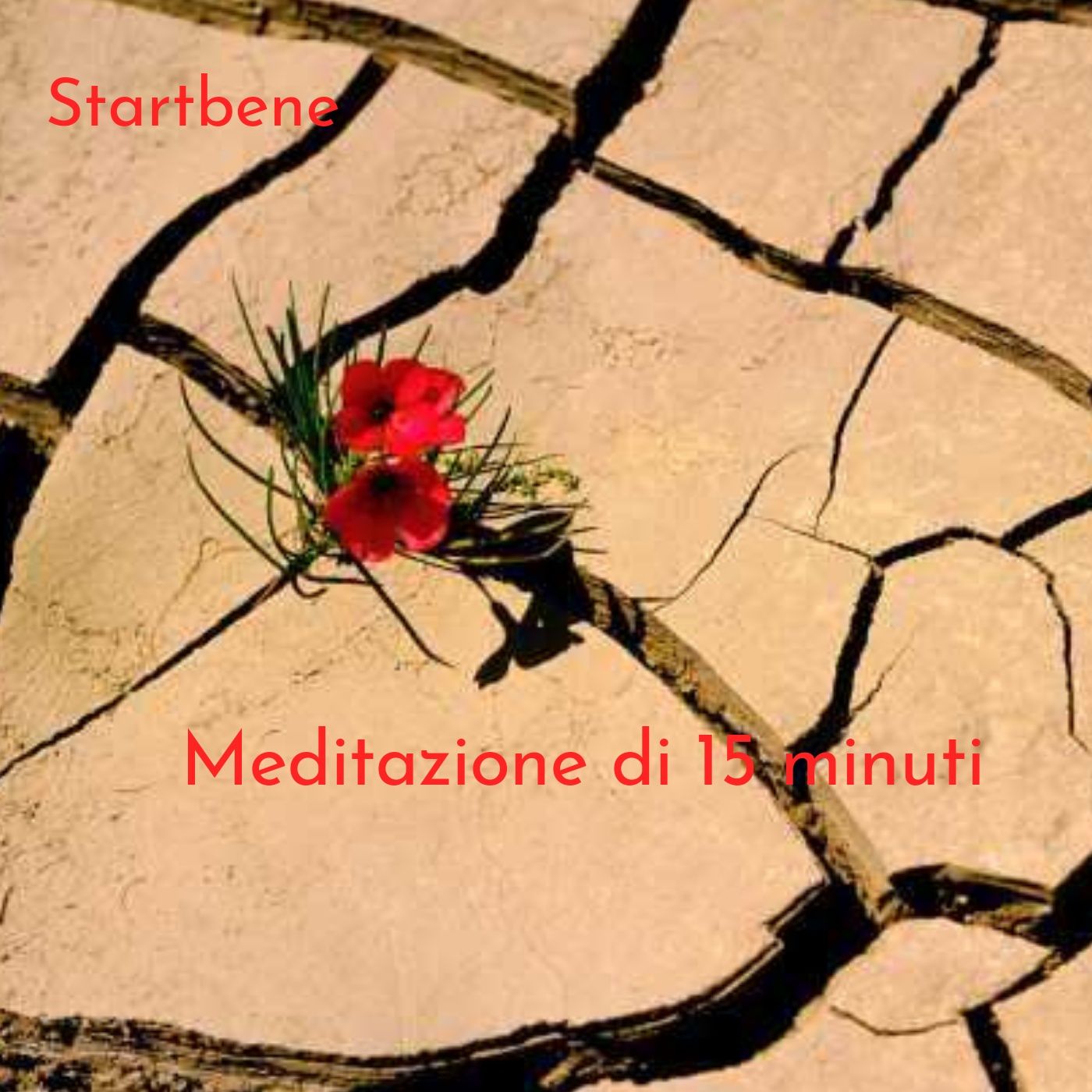 Startbene Meditazione 15 minuti