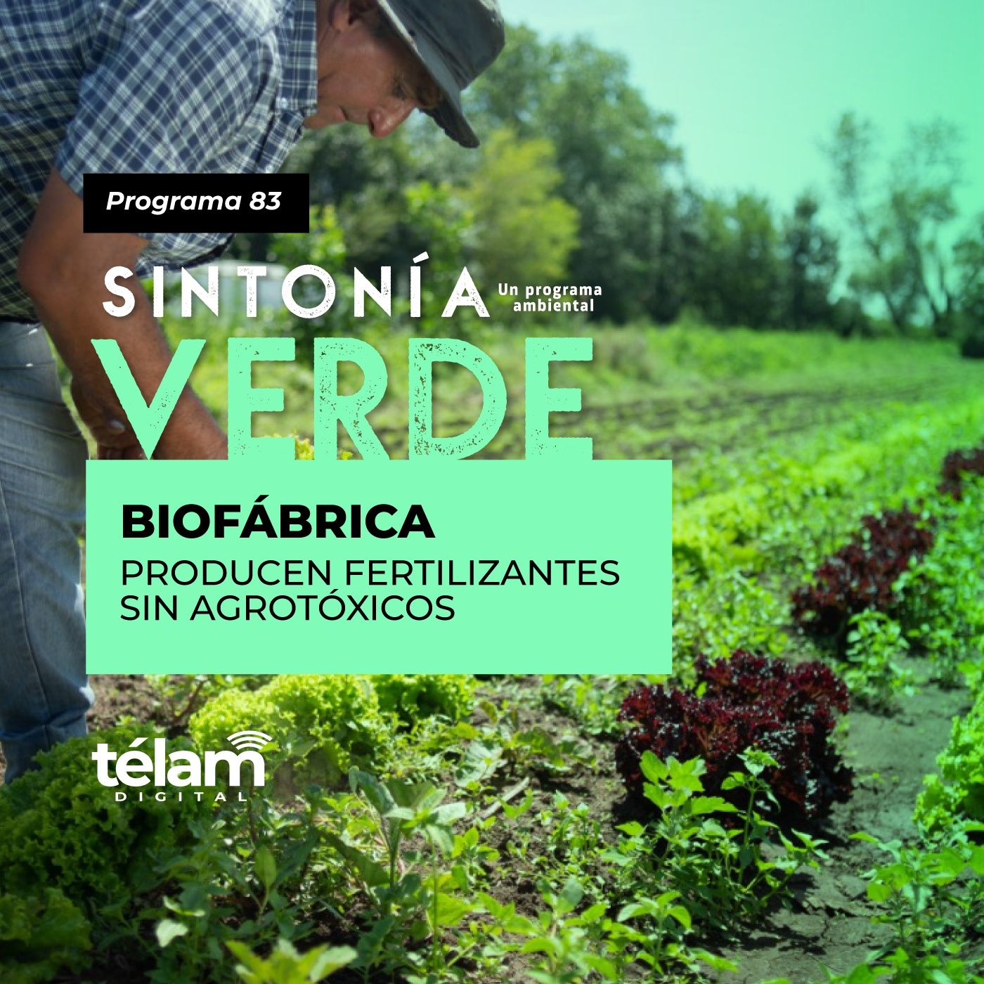 cover of episode Biofábrica: Producen fertilizantes sin agrotóxicos