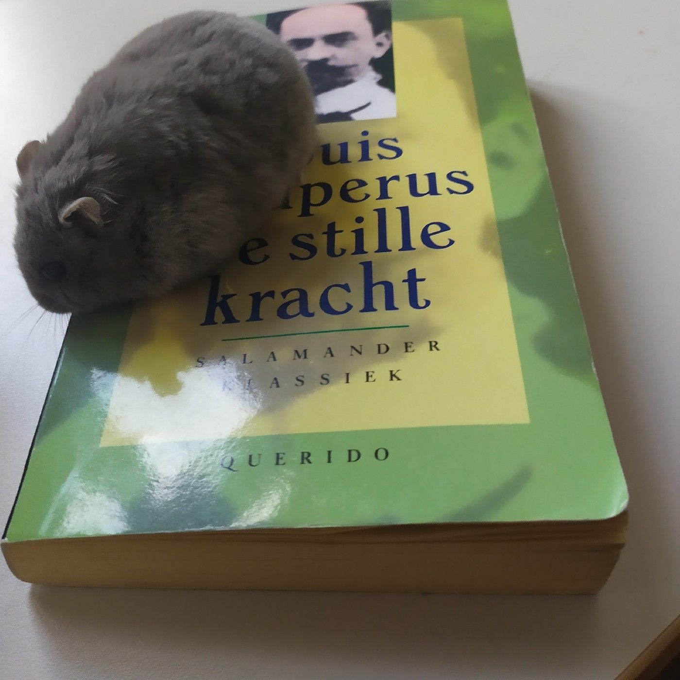 De stille kracht cover art