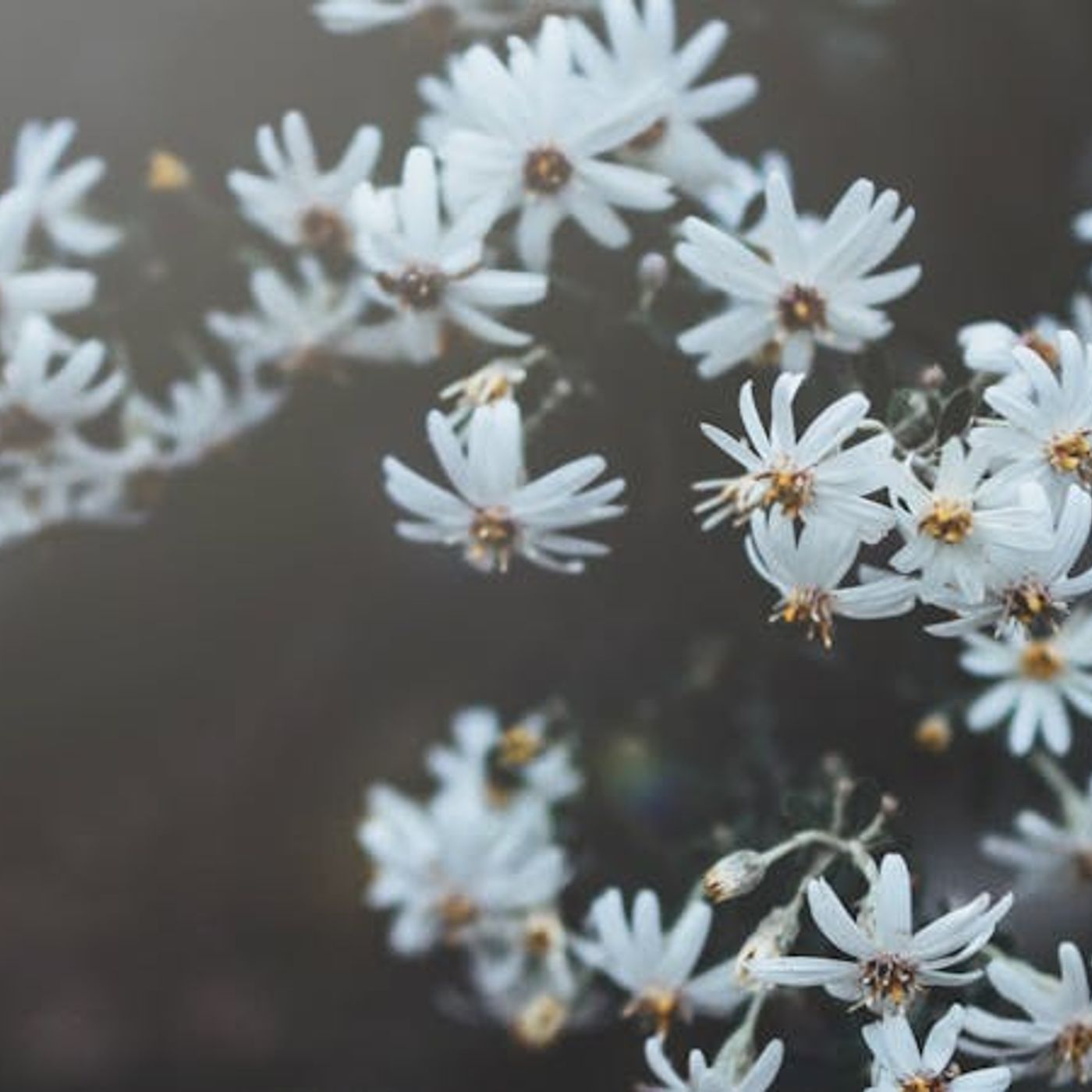 How Do I Pray for Healing and Honor God’s ‘No’?