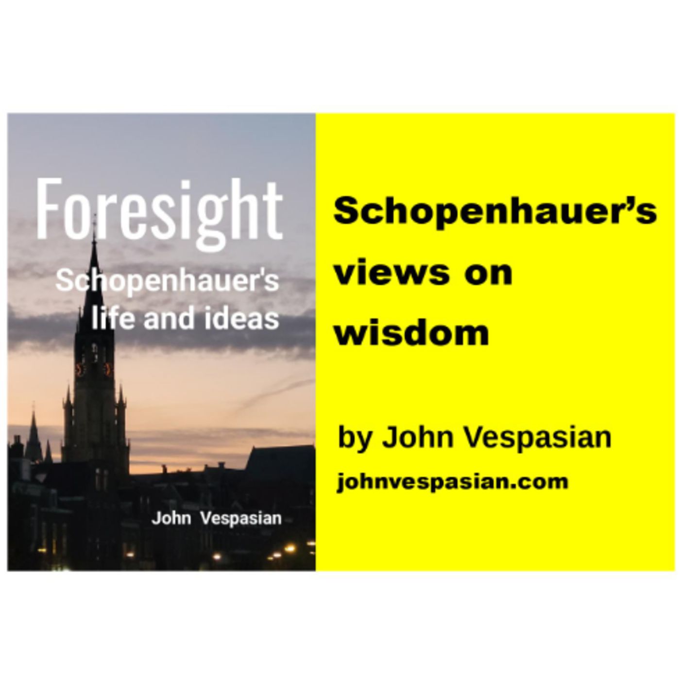 Schopenhauer’s views on wisdom episode artwork