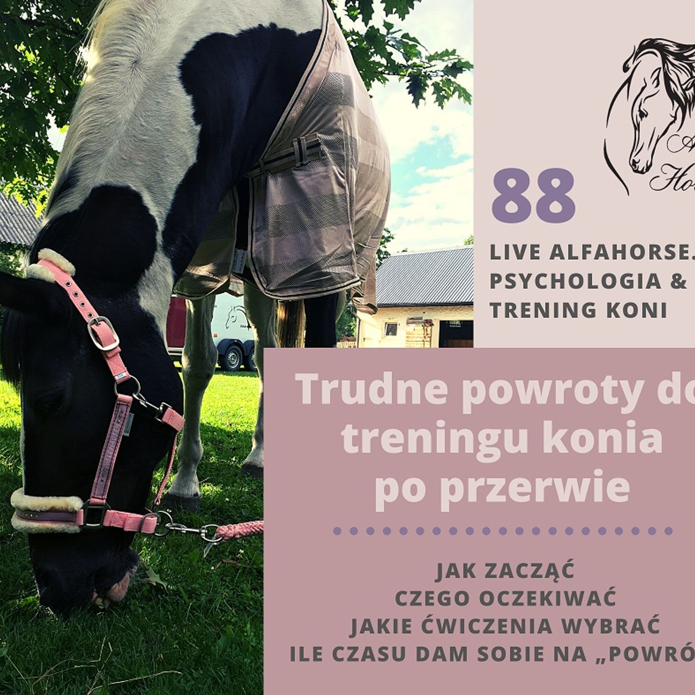 Live 88: Trudne powroty do treningu konia po przerwie episode artwork