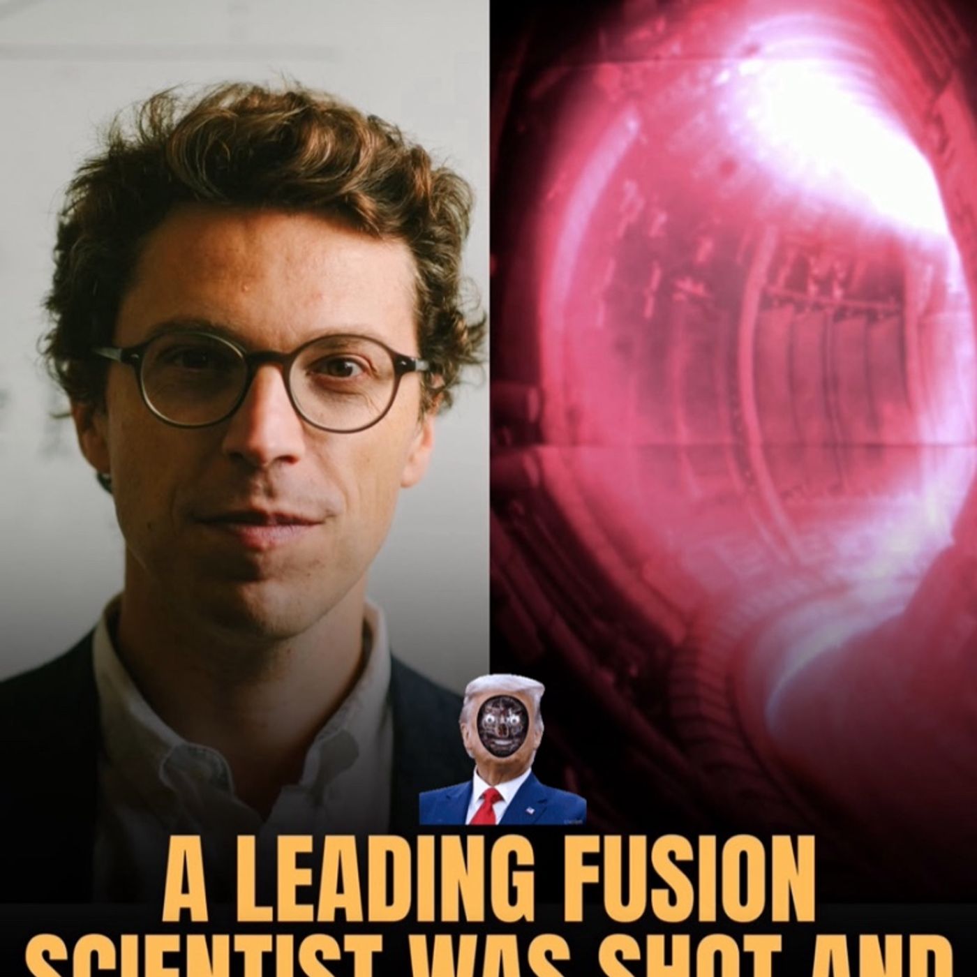 MIT’s leading fusion scientist (TM +TAE Merger!?!) MIT’s leading fusion scientist (TM +TAE Merger!?!)