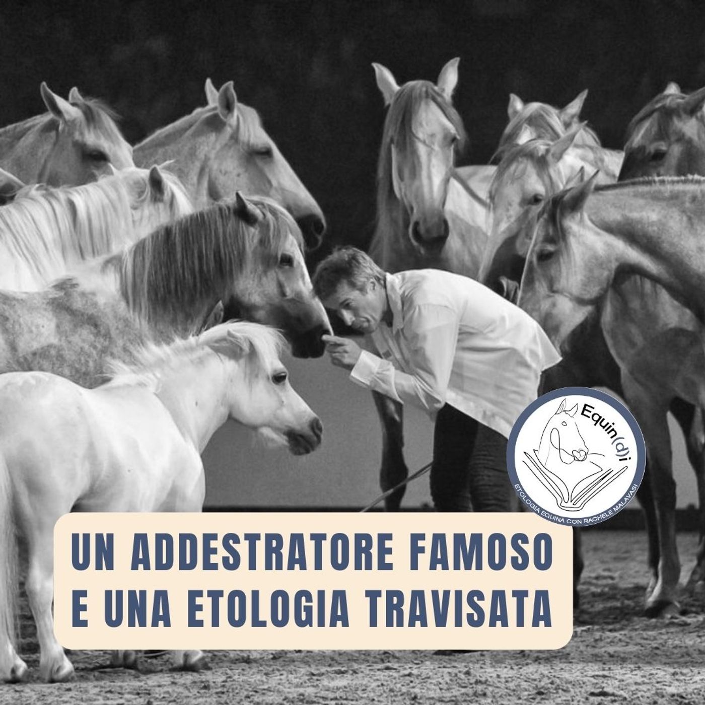 Etologia Equina, il comportamento del cavallo
