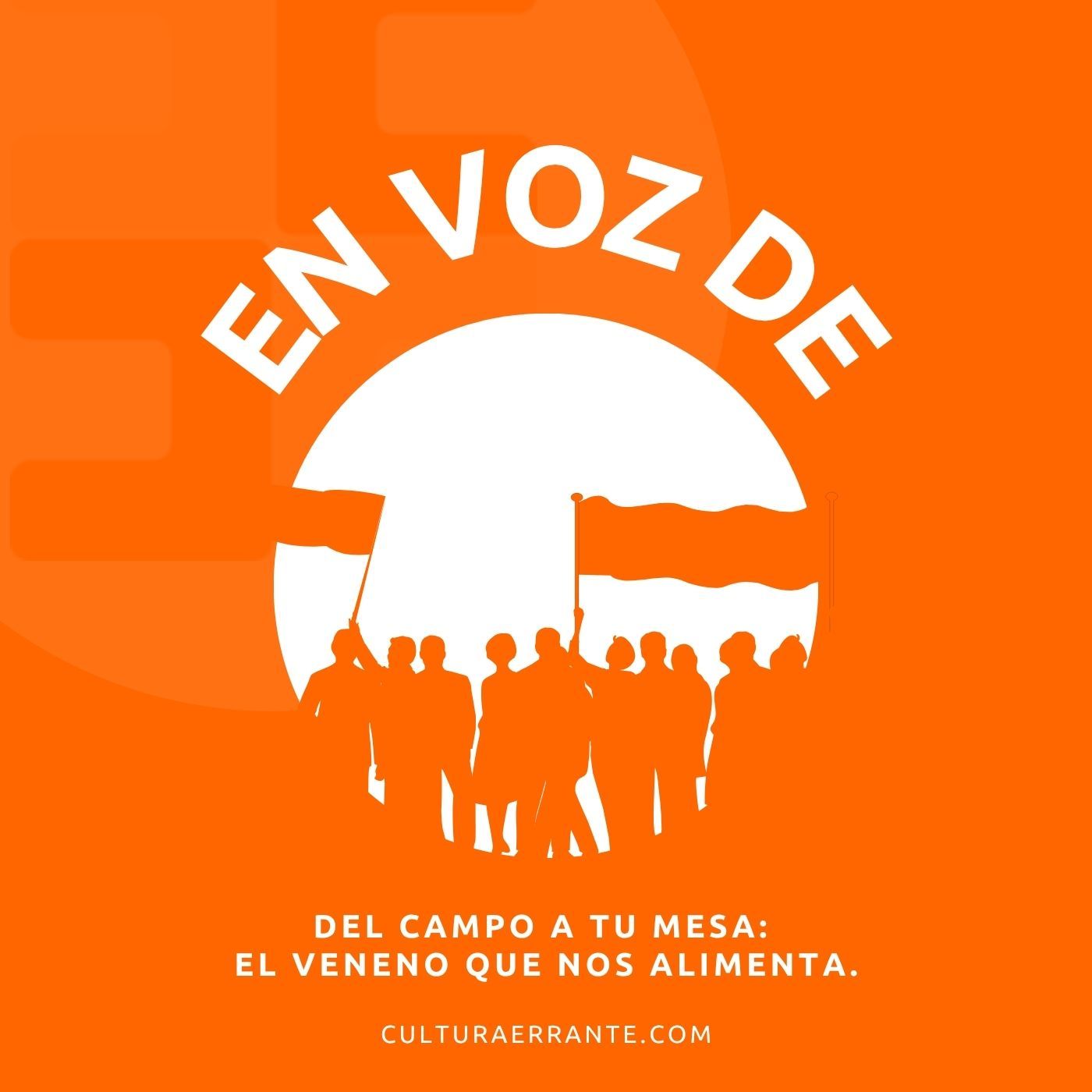 Cultura Errante