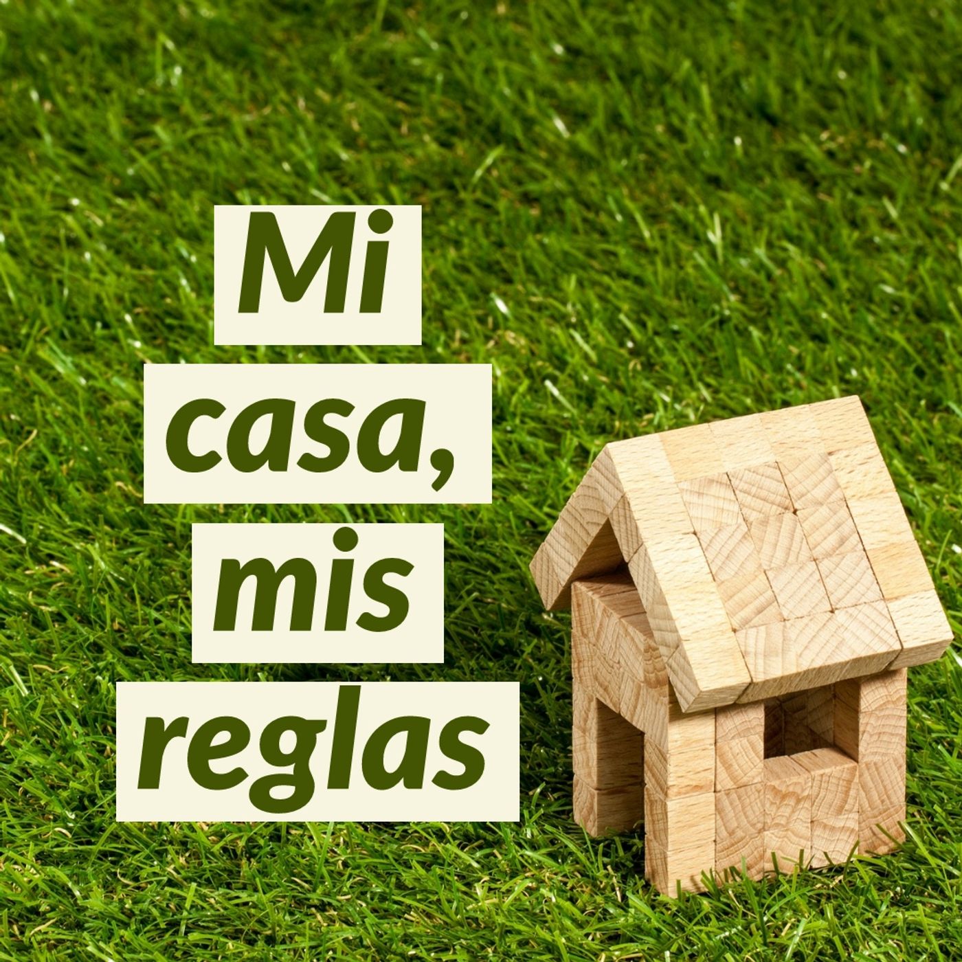 Mi Casa, Mis Reglas | Capítulo 3 - Avengers Endgame