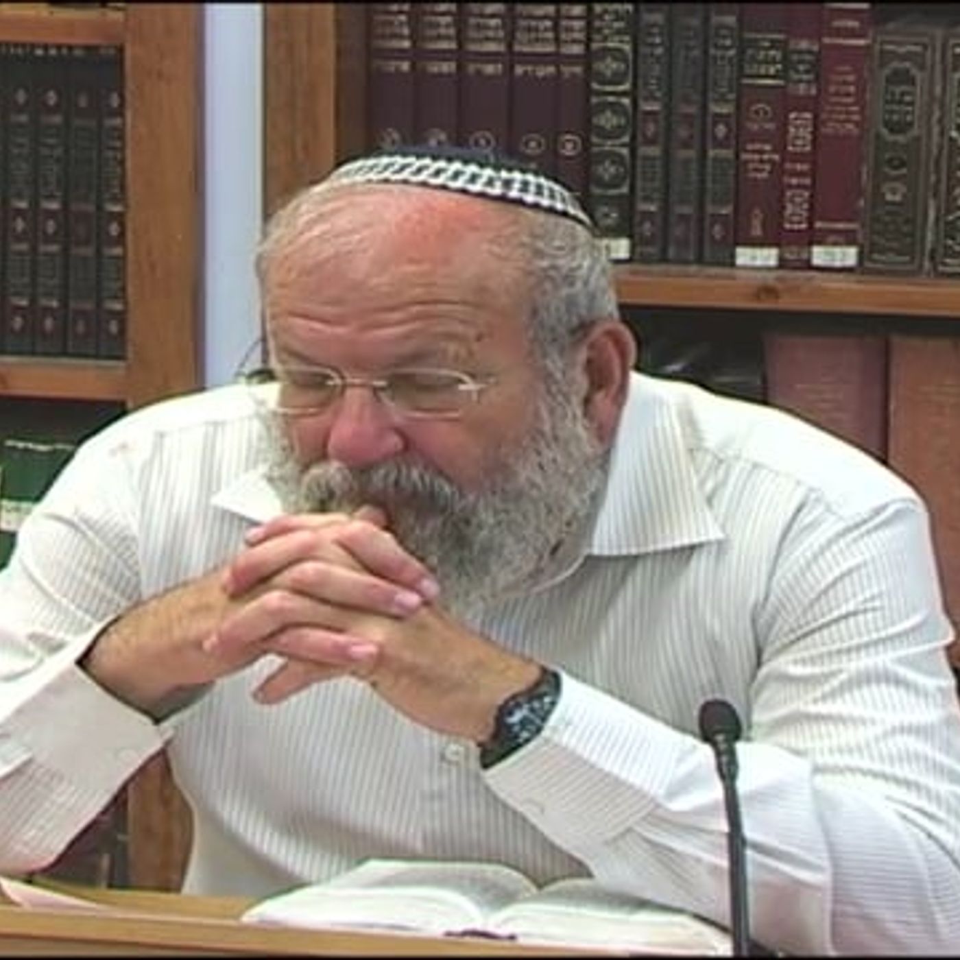 "עם הנצח לא מפחד מדרך ארוכה  –  באמצע מלחמת צוק איתן" episode artwork