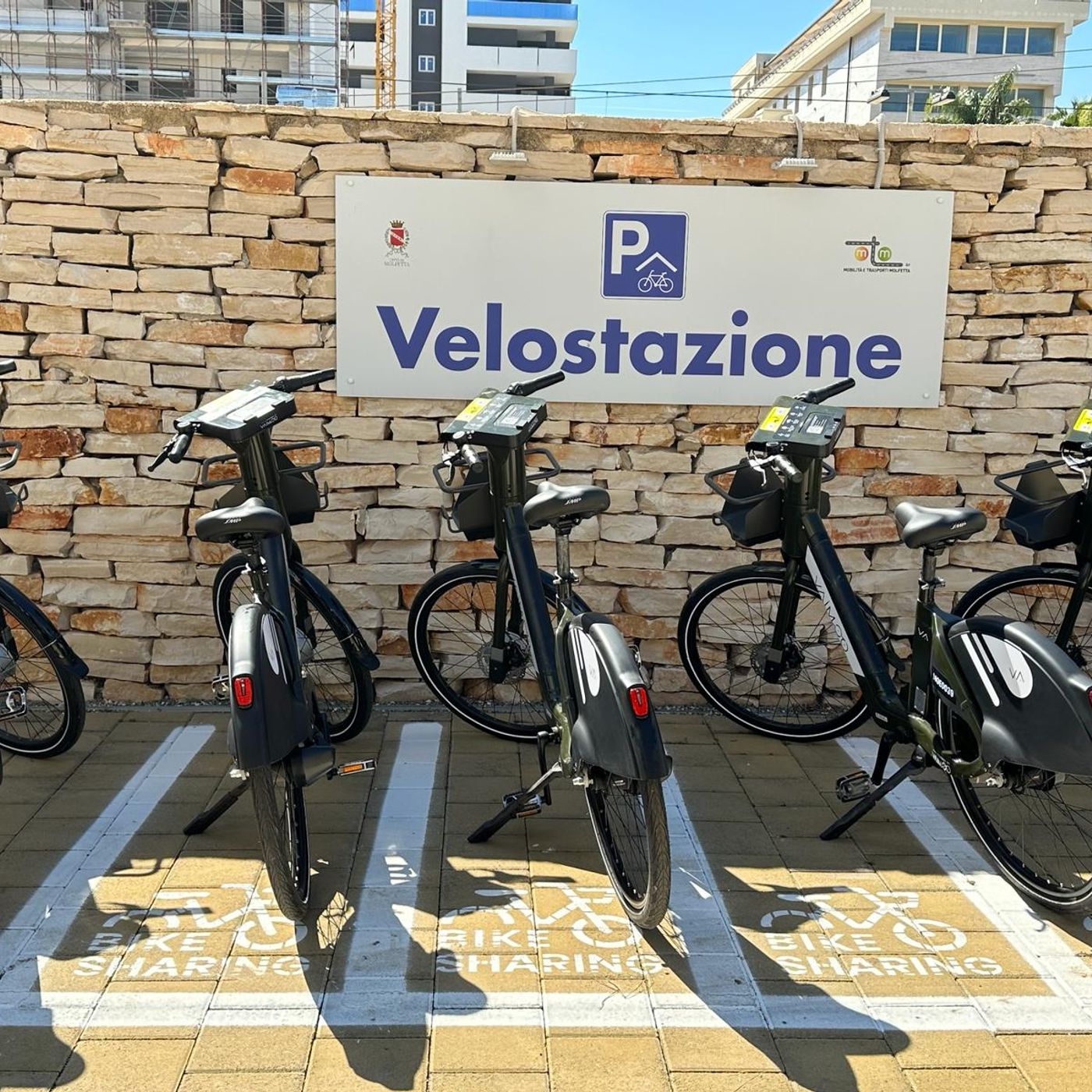 Mobilità sostenibile, inaugurato servizio di bike sharing a Molfetta e Giovinazzo episode artwork