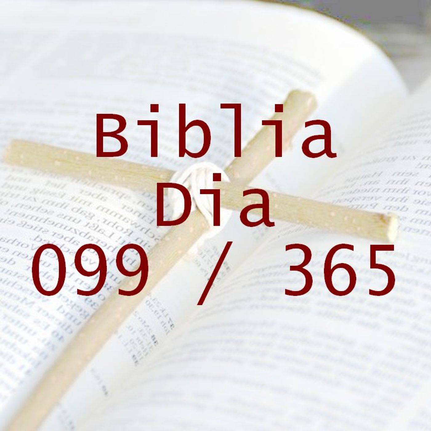 La Biblia en 365 dias