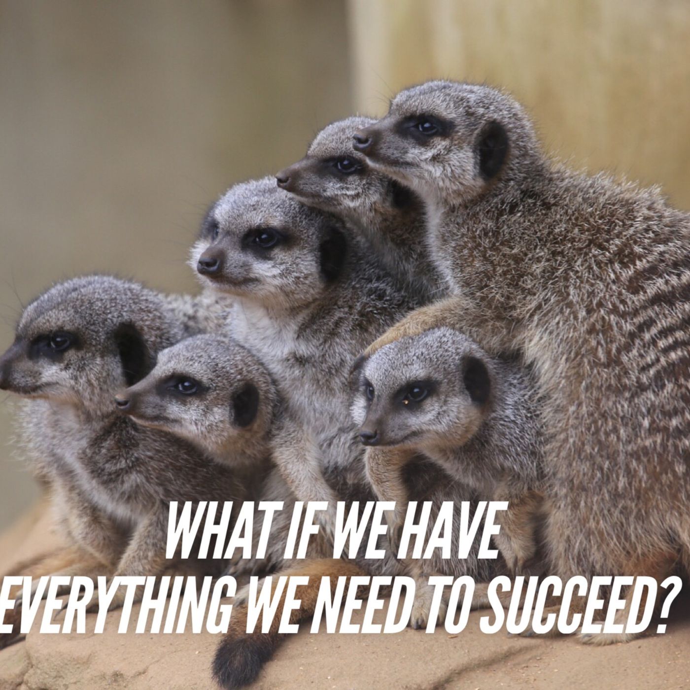 What if we have everything we need