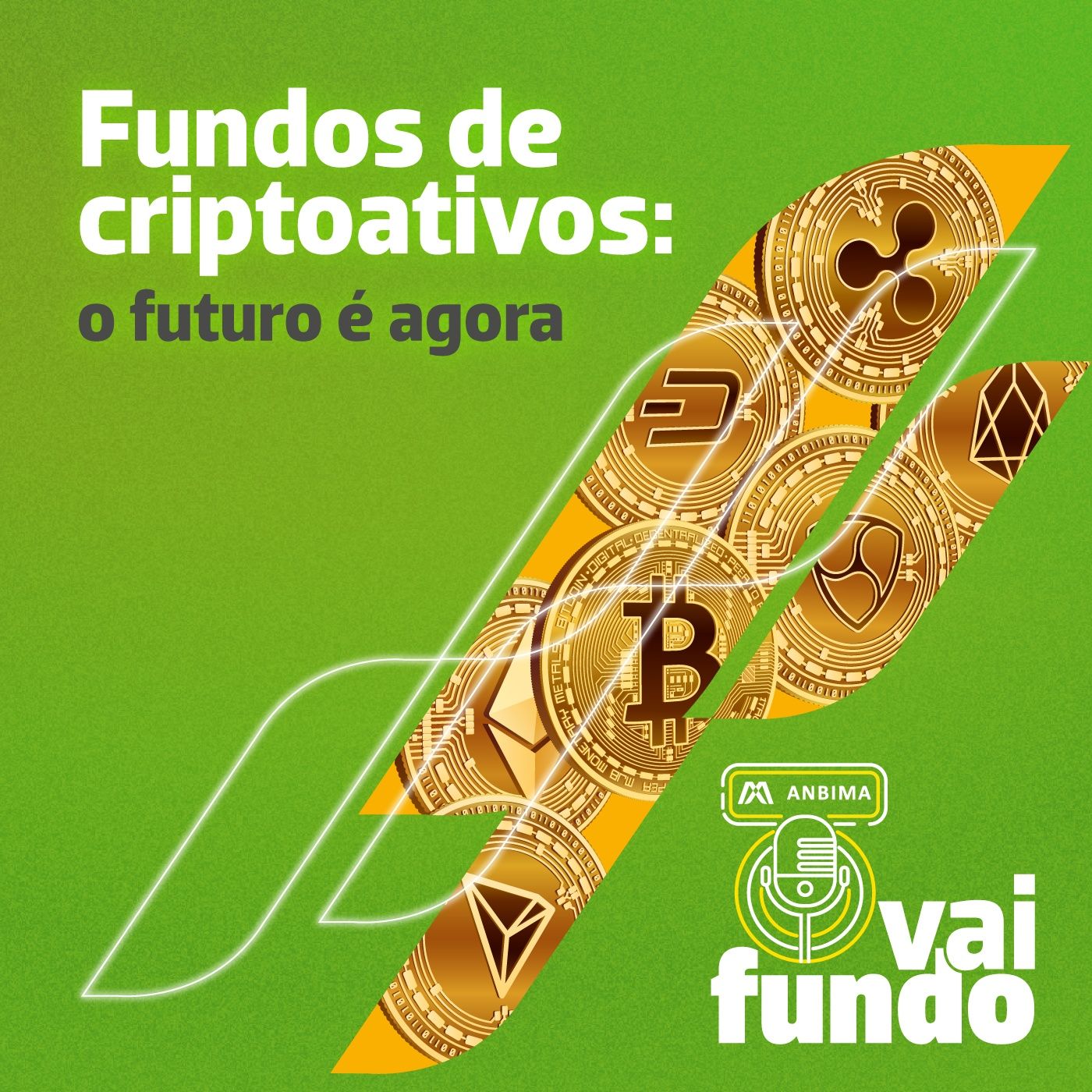 Vai Fundo