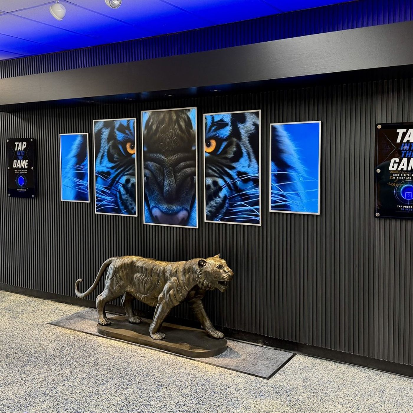 New Prouty Gym video display will enhance Princeton fans’ game day experience episode artwork