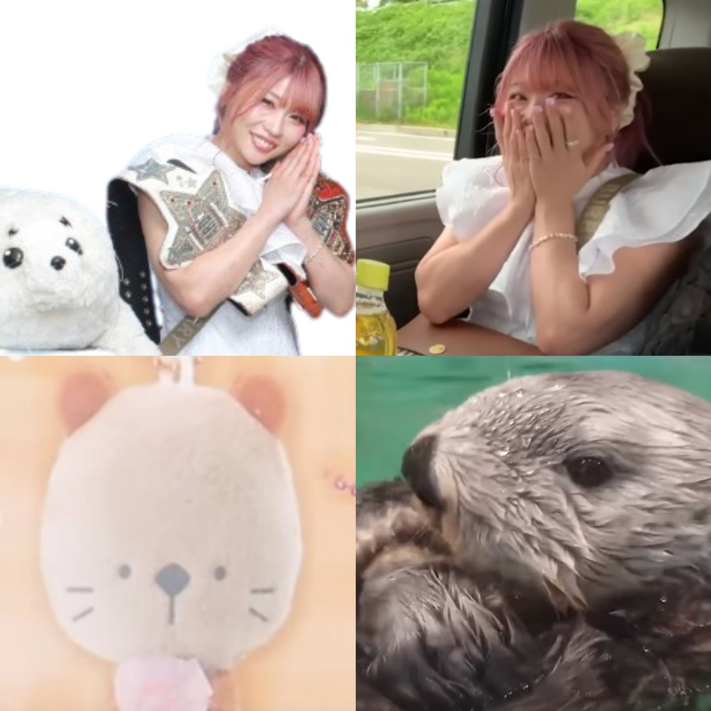 Tam's Otter Adventure episode artwork