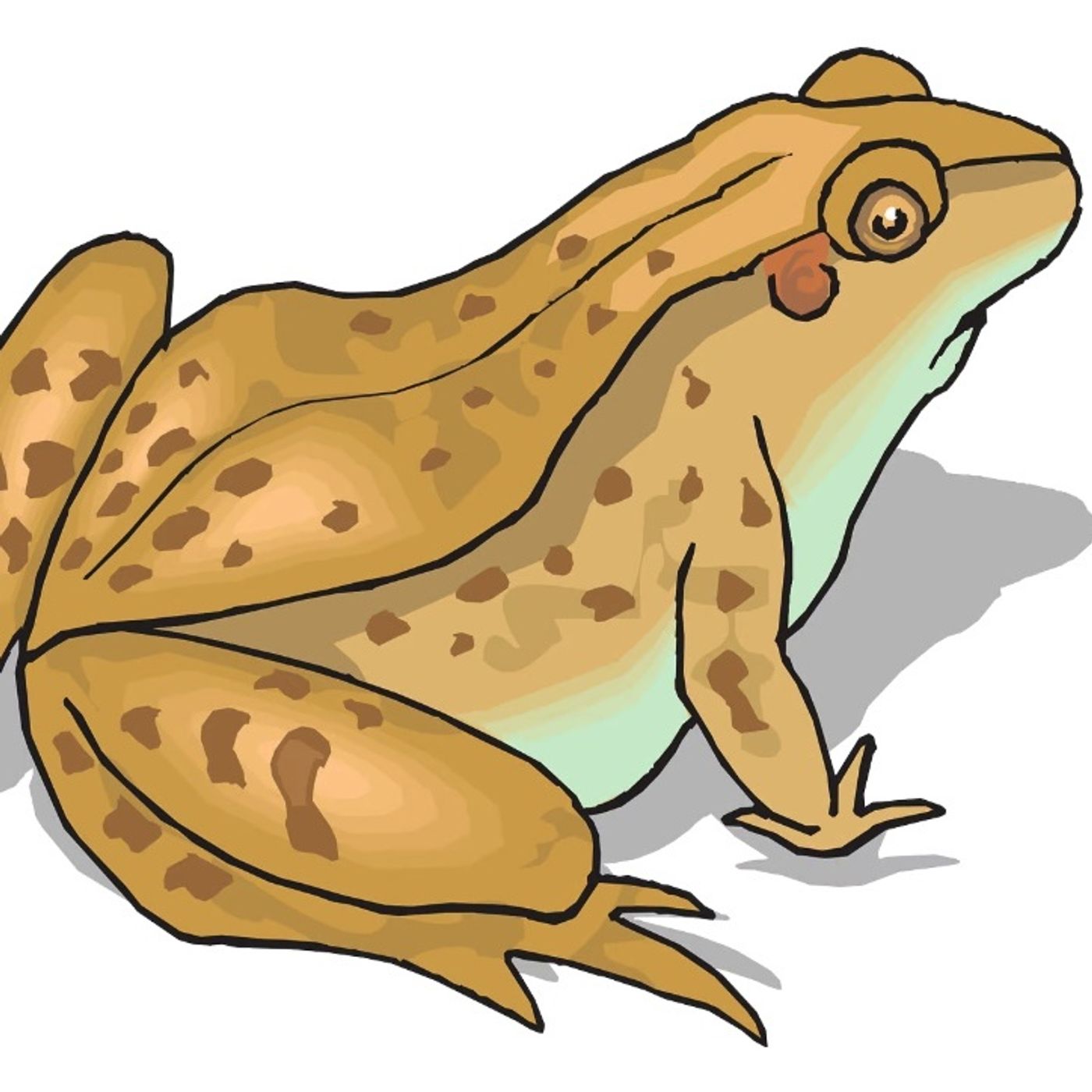 El Sapo | Cuentos Con Moraleja episode artwork