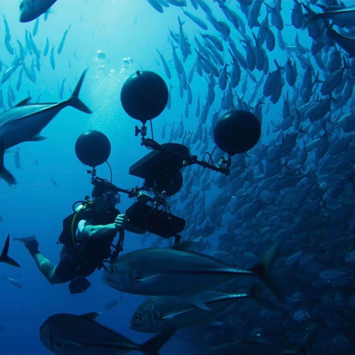 Scientists at Sea