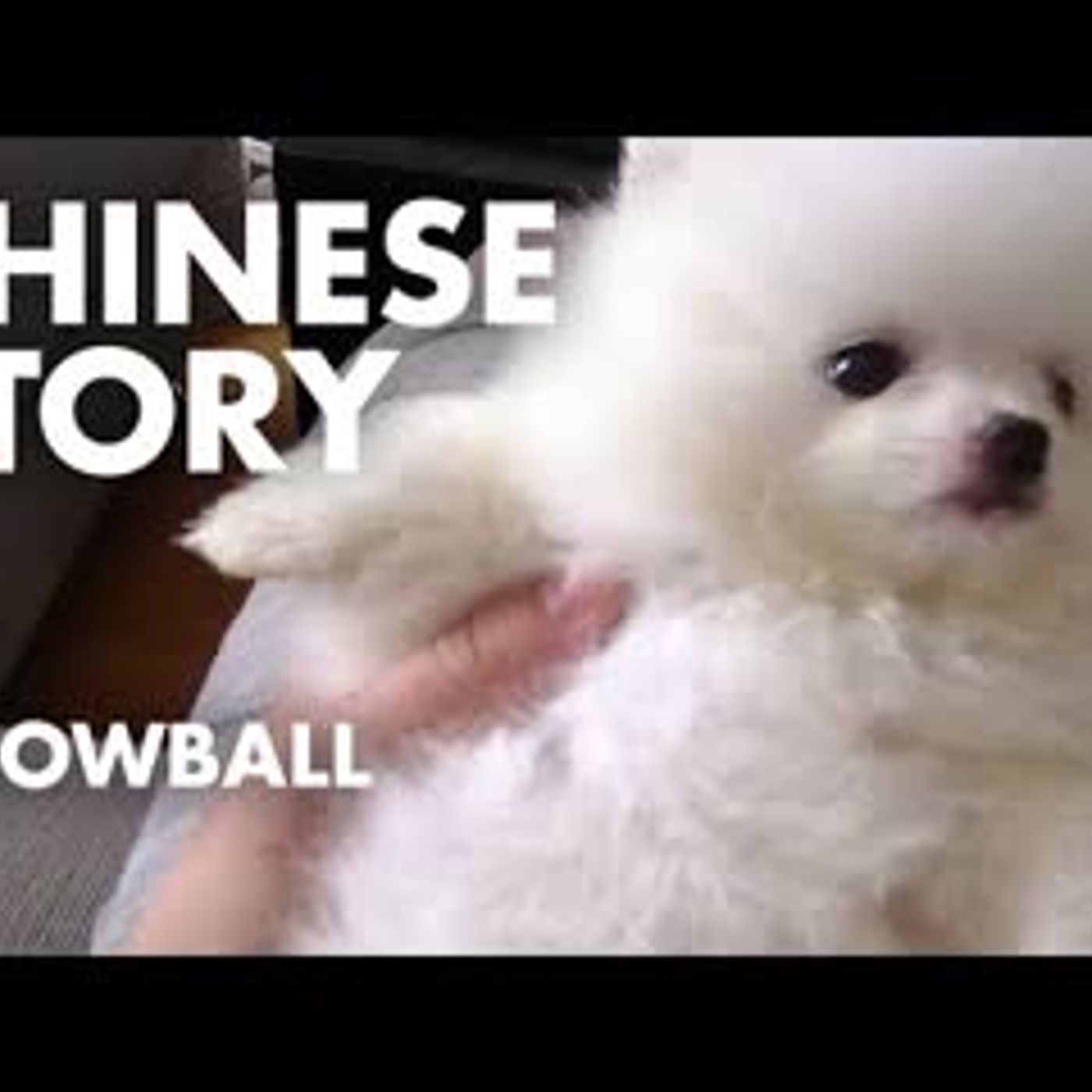 Snowball   Chinese Story   Chinese Listening Practice   New HSK 2 episode artwork