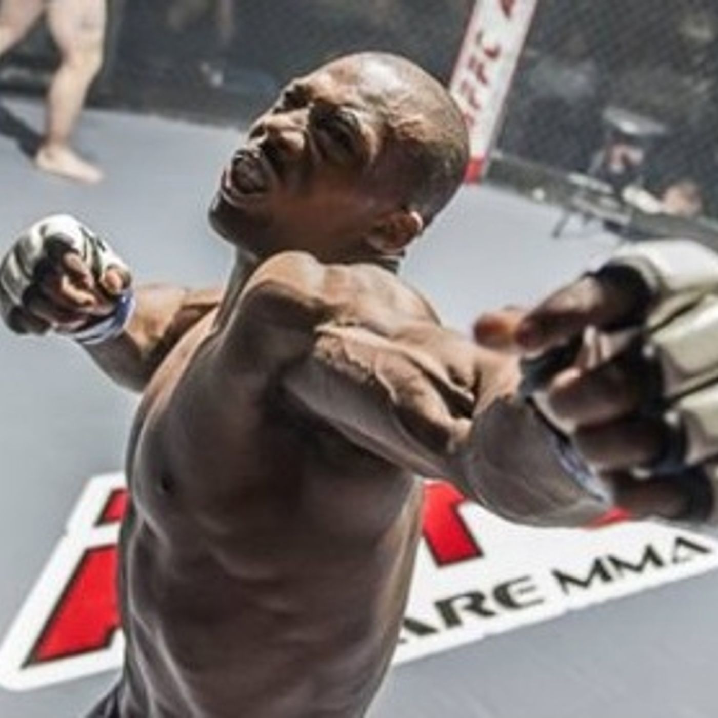 Fightlete Interview Podcasts