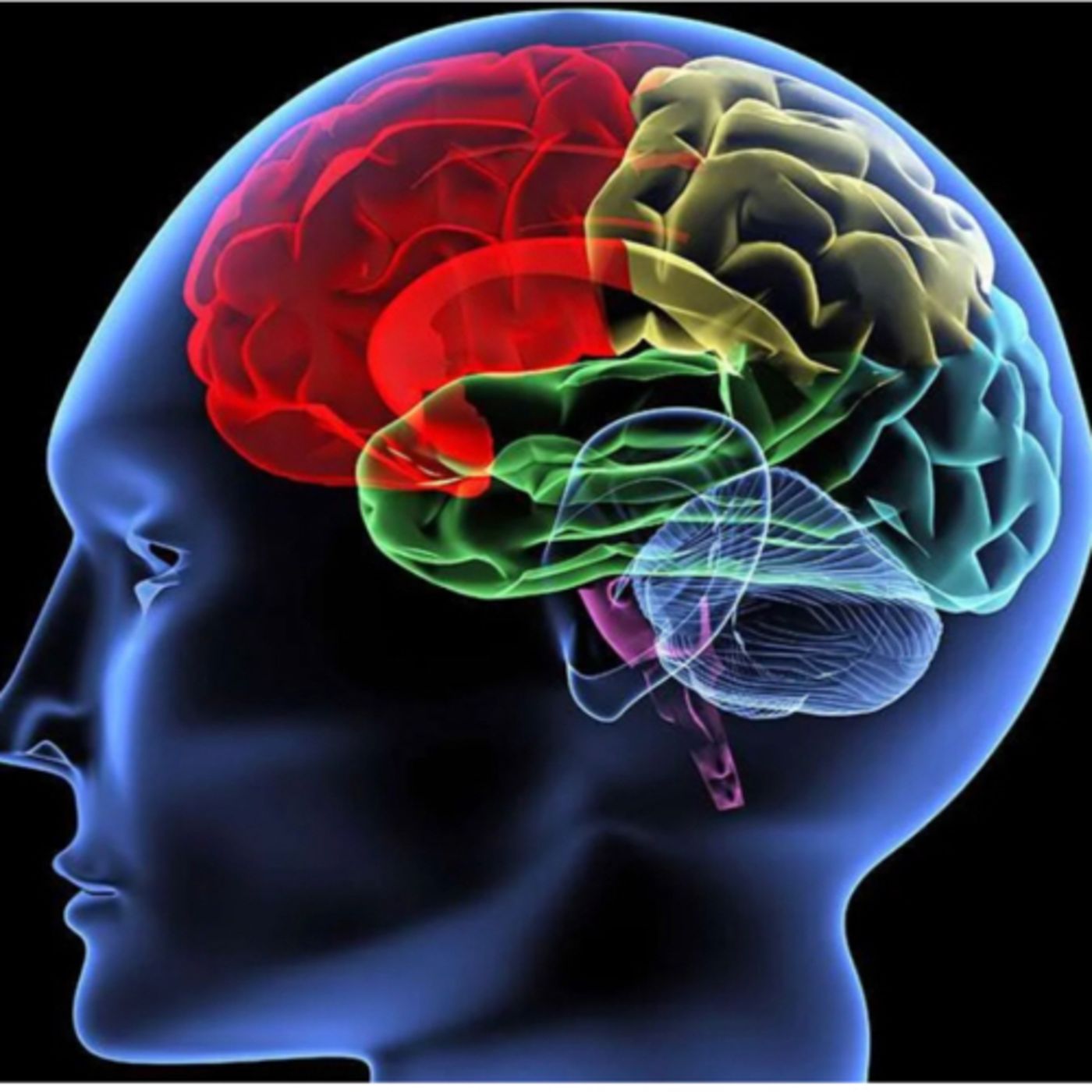 Overcome The Challenge (OTC)