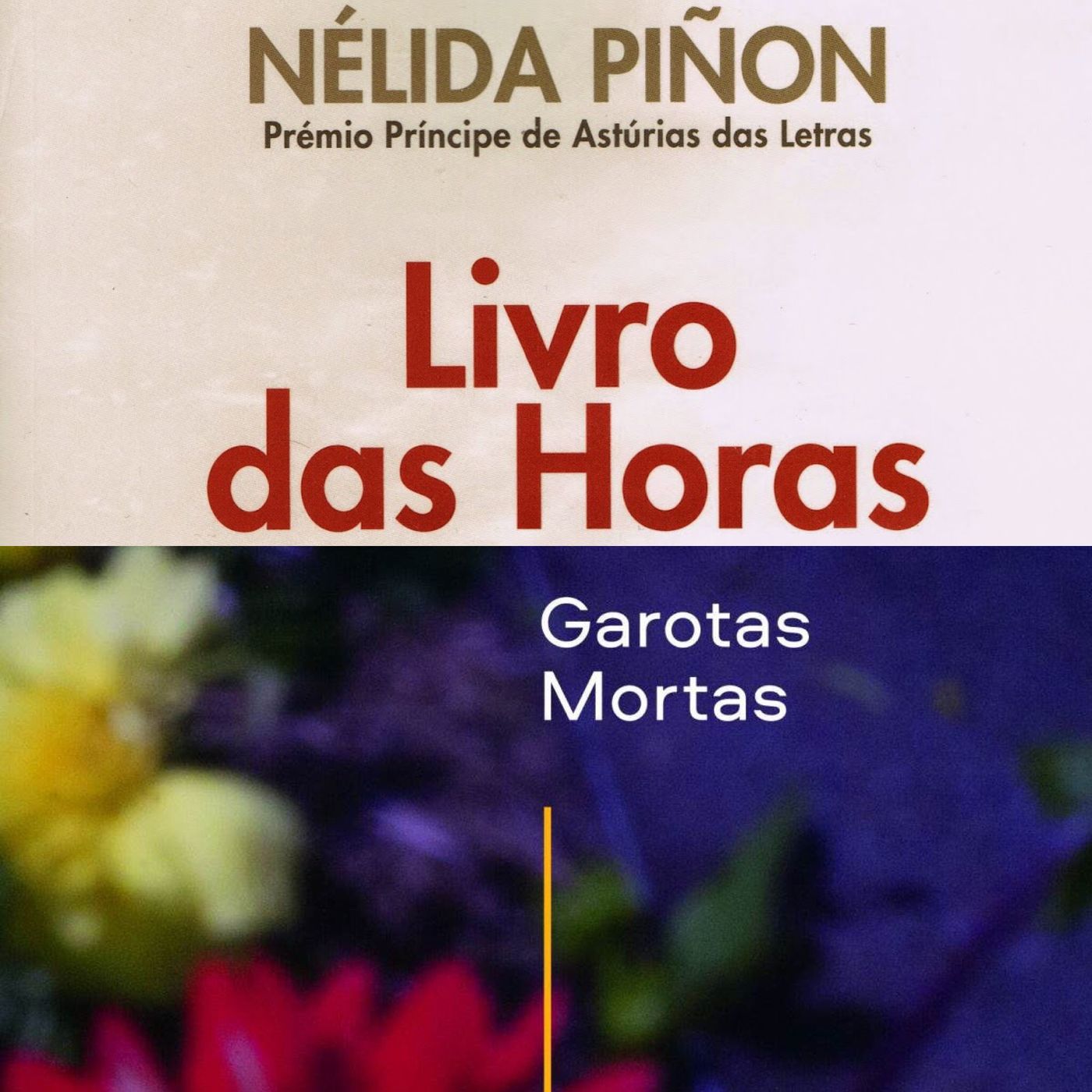 Literalmente Podcast - Livros