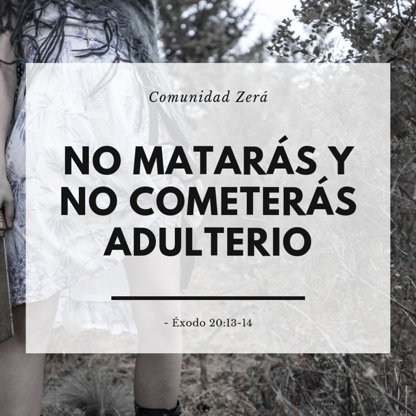 No matarás y no cometerás adulterio episode artwork