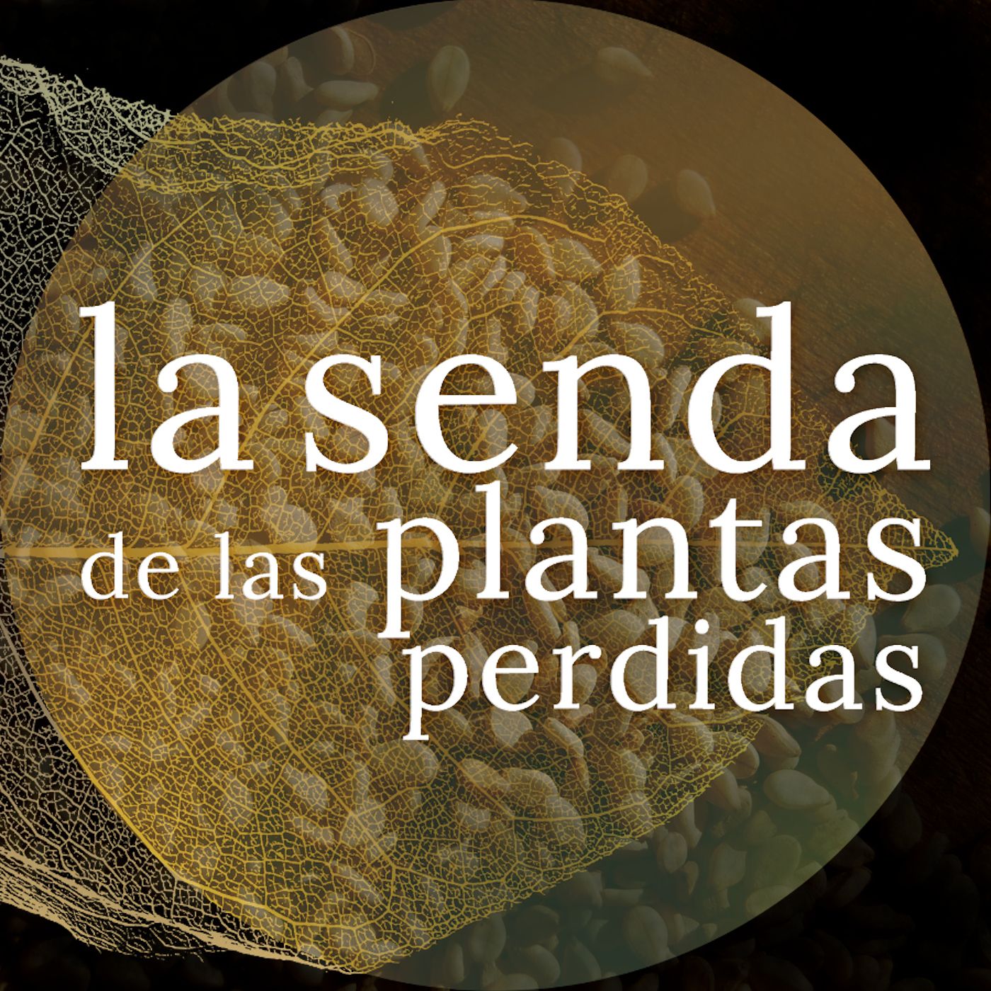 La Senda de las Plantas Perdidas