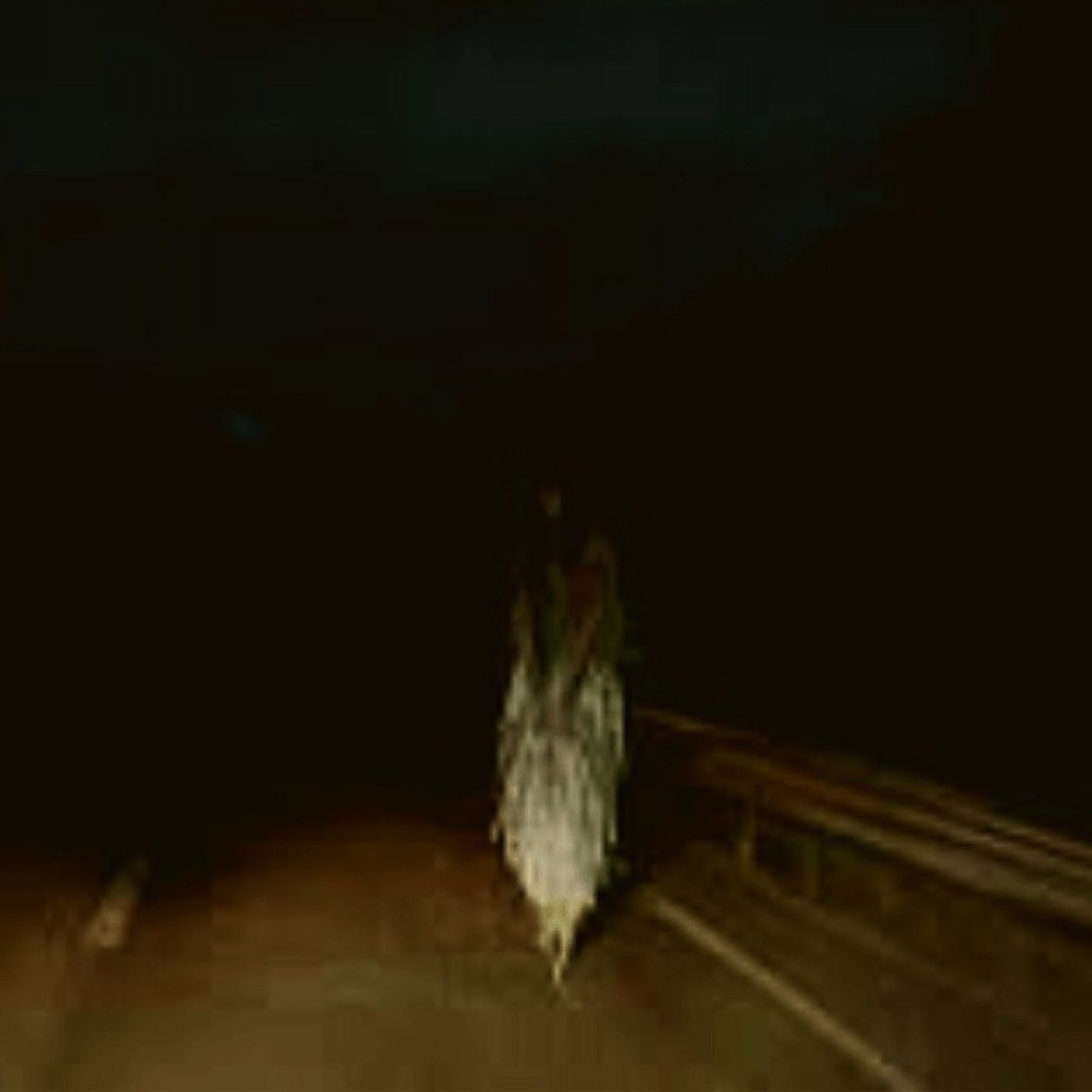 El Festival De CERVANTINO Historias De Terror - REDE