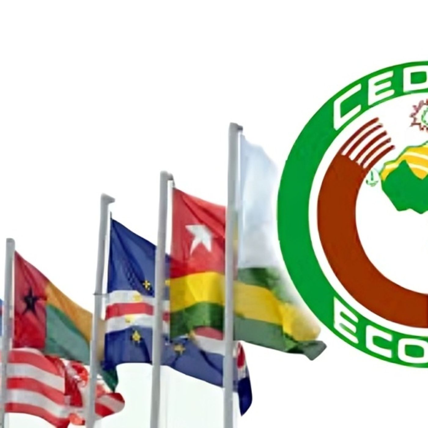 West African Presidents Meet Amid Regional Tension, After several Coups