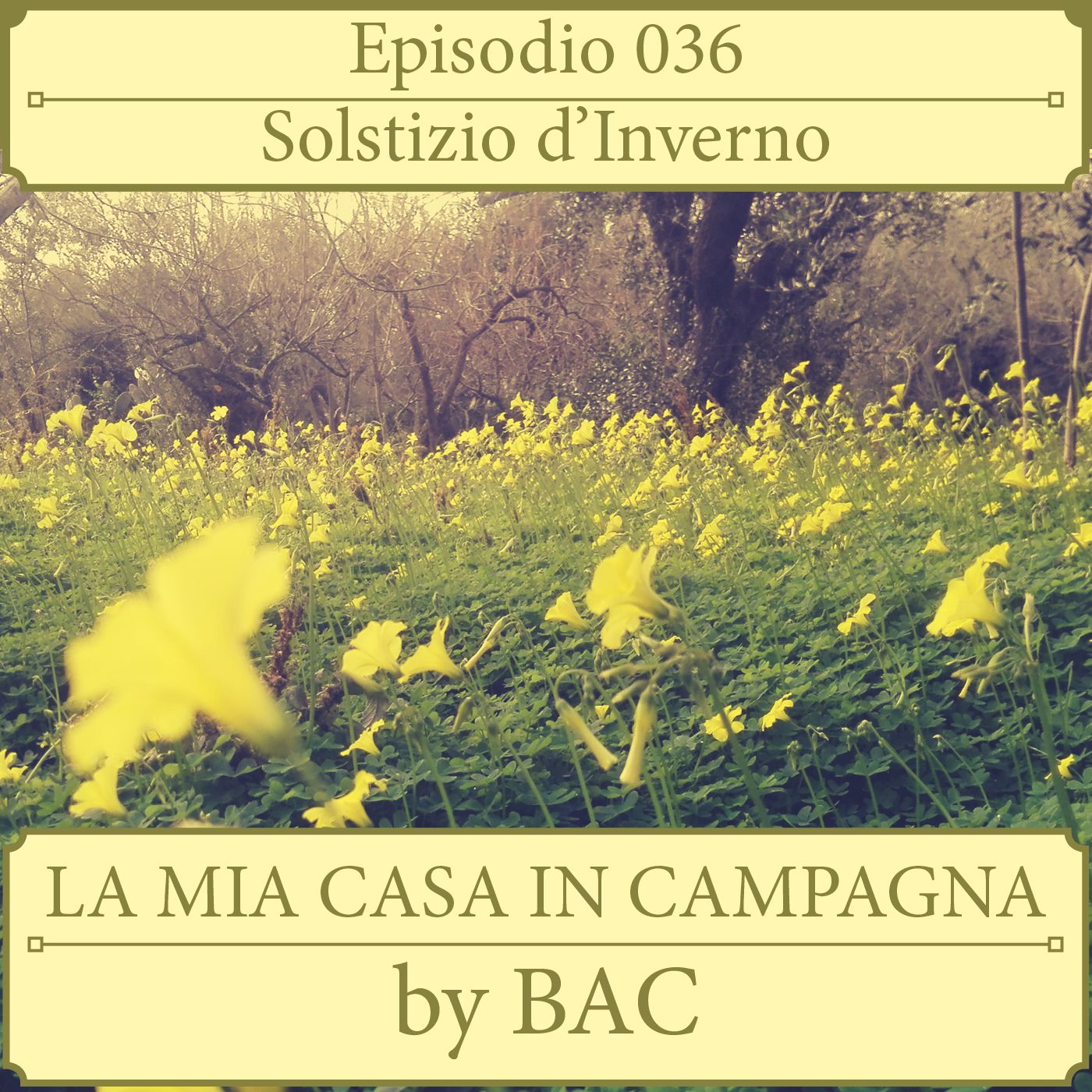 La Mia Casa In Campagna