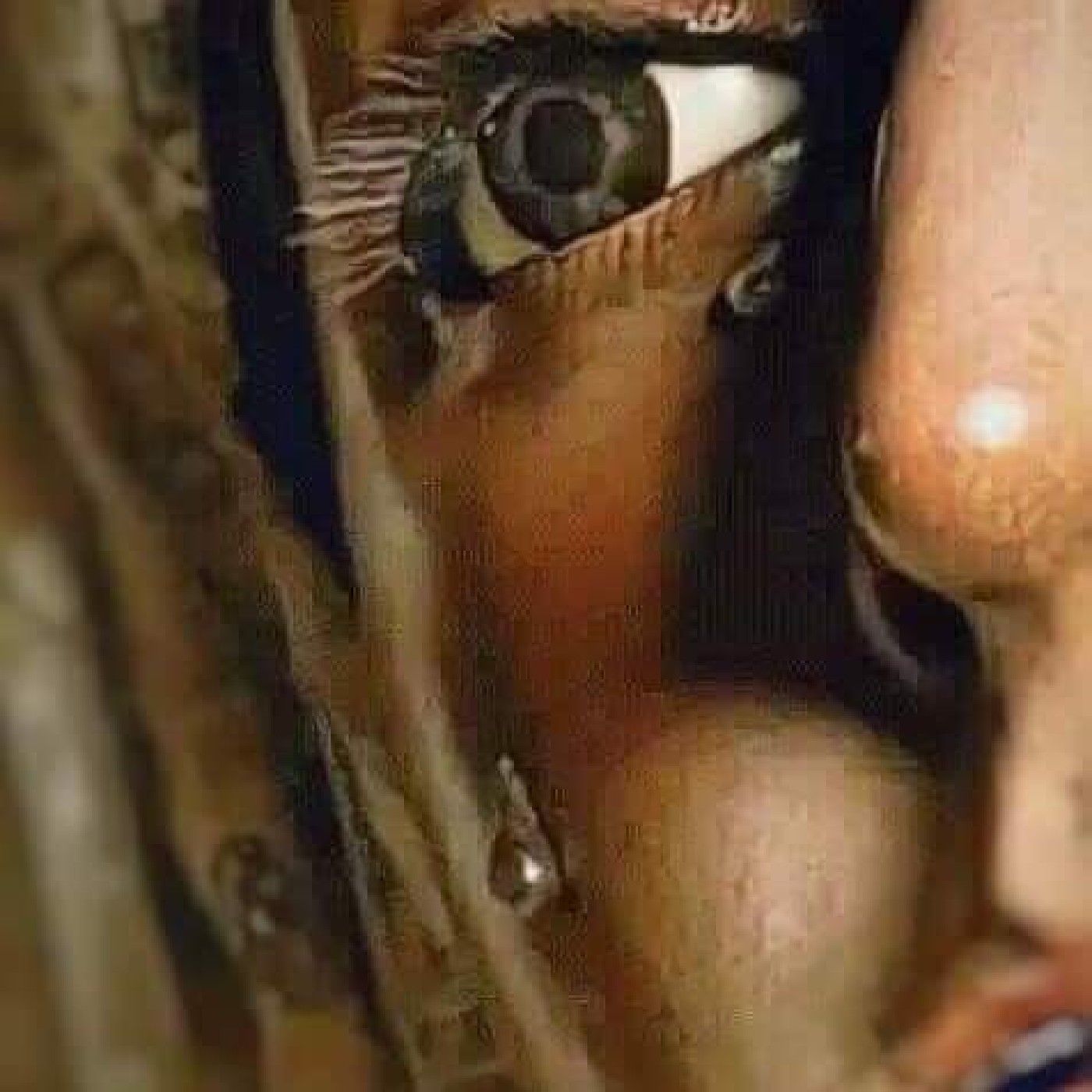 Radio Del Cofrade Con David Morilla