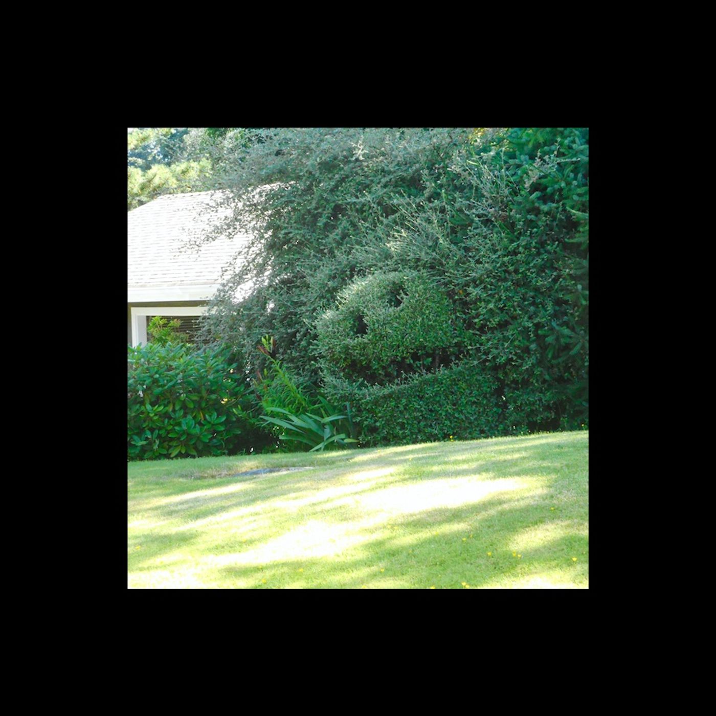 Bob, the Rasta, from the bushes episode artwork