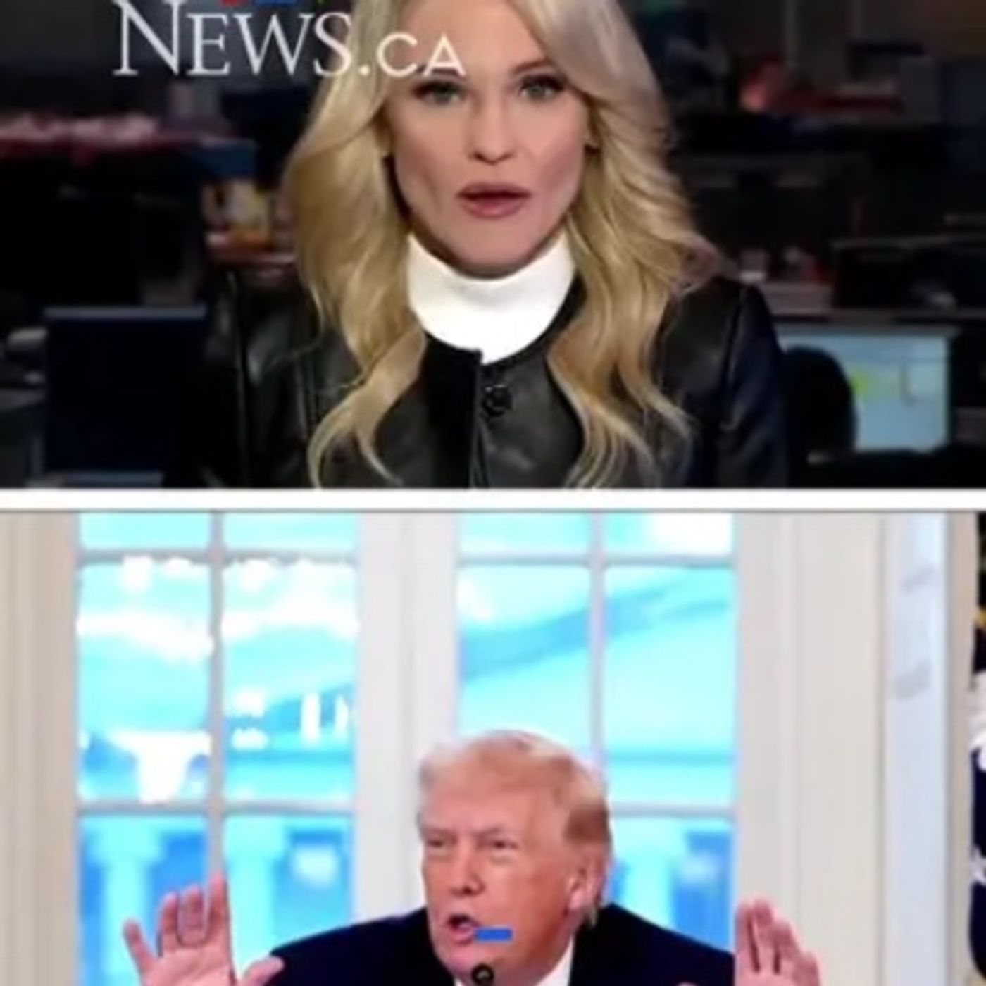 U.S. President Donald Trump says Canada and the U.S. will “immediately” start episode artwork