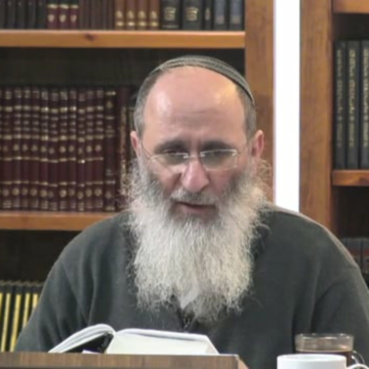 מהו הצידוק המוסרי להריגת כל אנשי שכם? | הרב אורי עמוס שרקי episode artwork