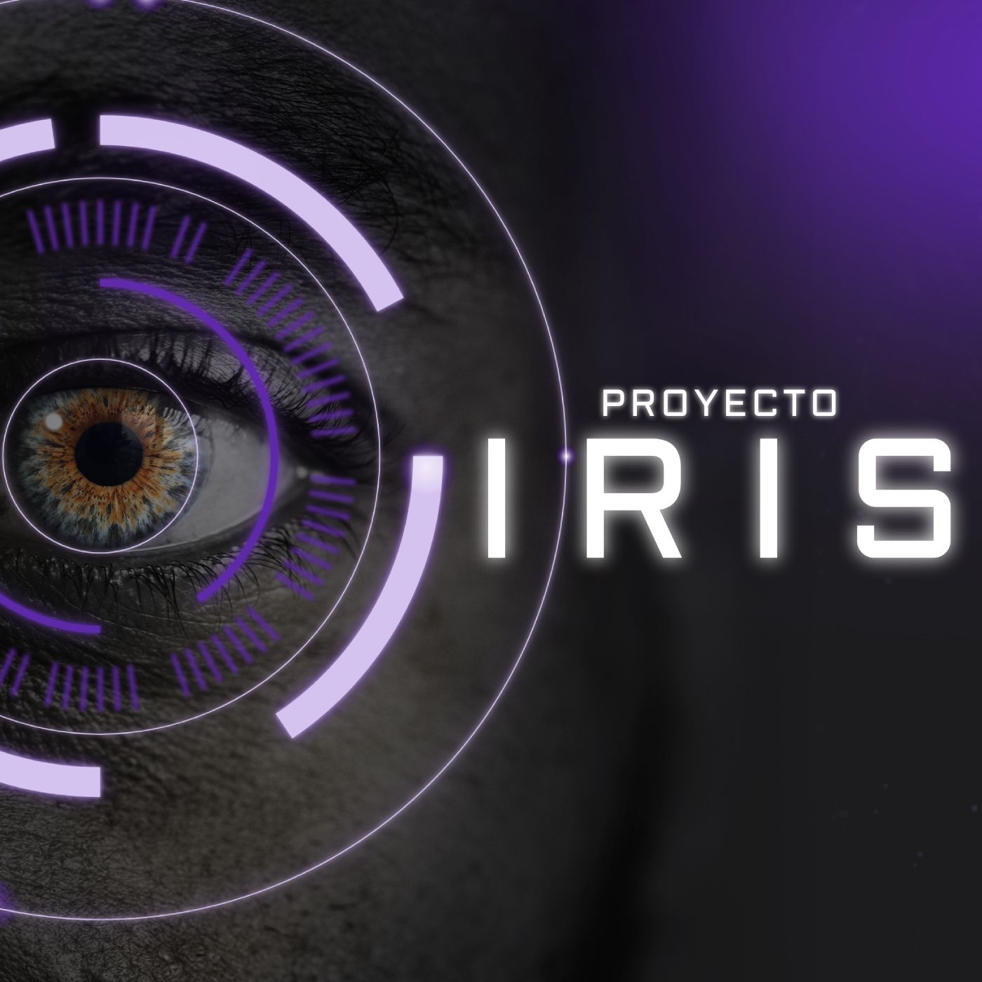 Proyecto Iris