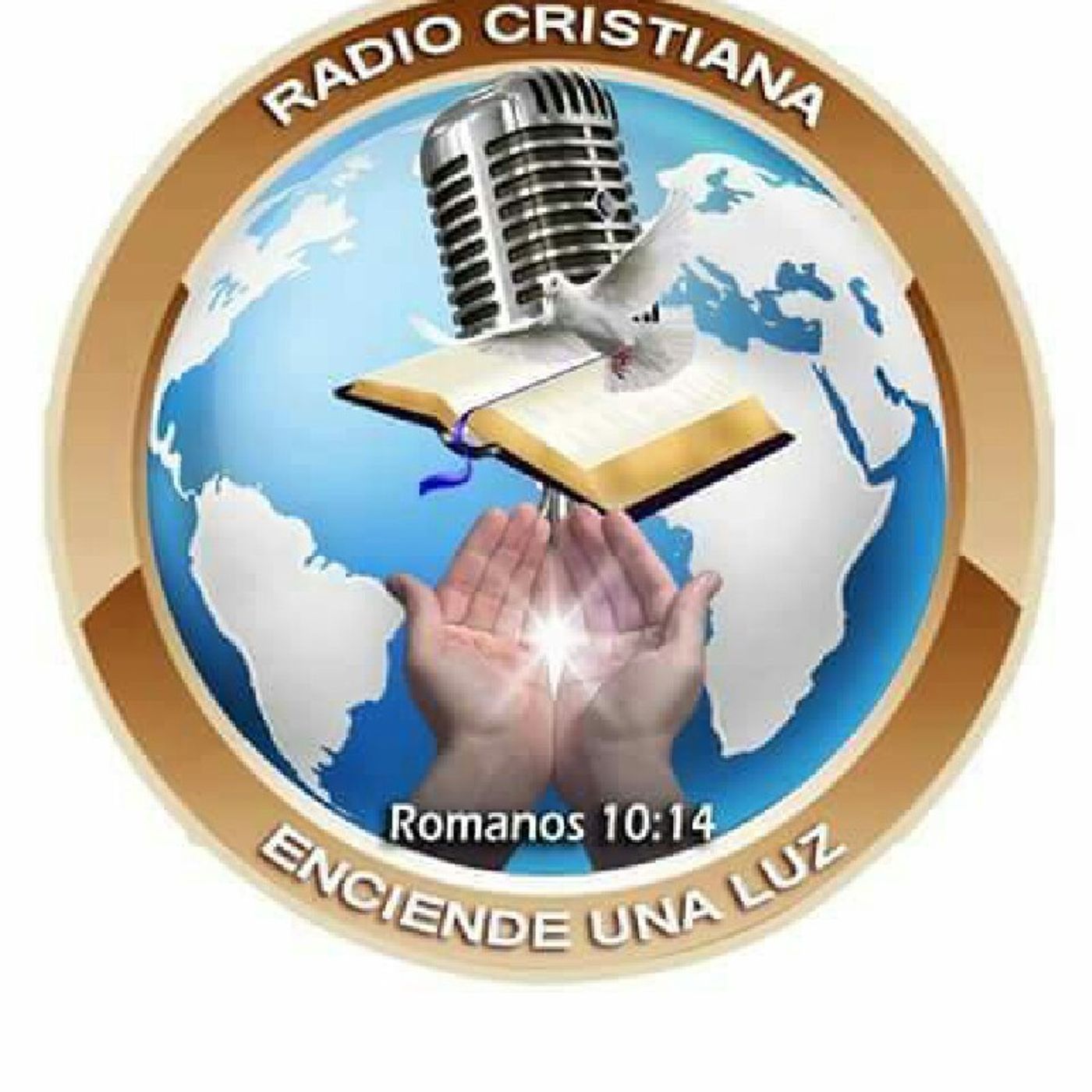 Jose Rocha Ruiz\'s show
