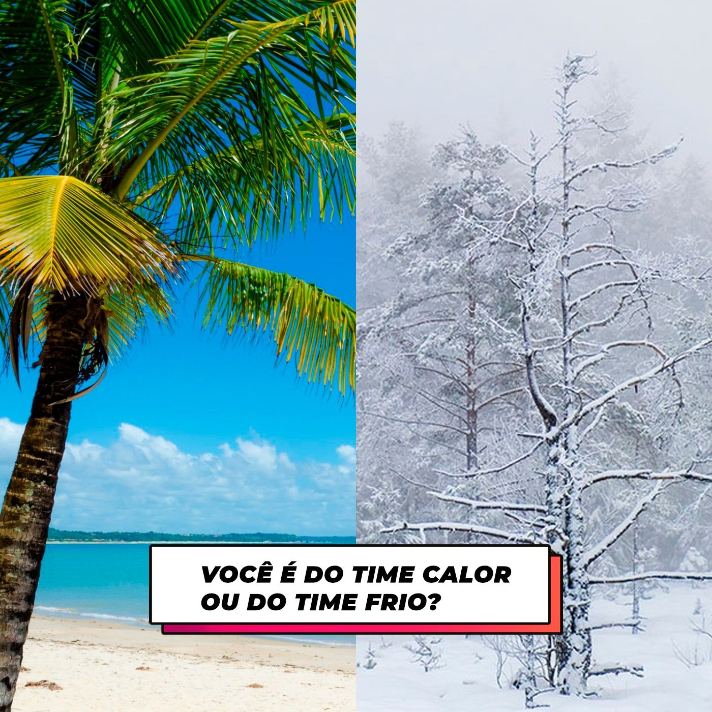 04.07.23 - Você é do time calor ou do time frio? (part. vet. Carla Maion) episode artwork
