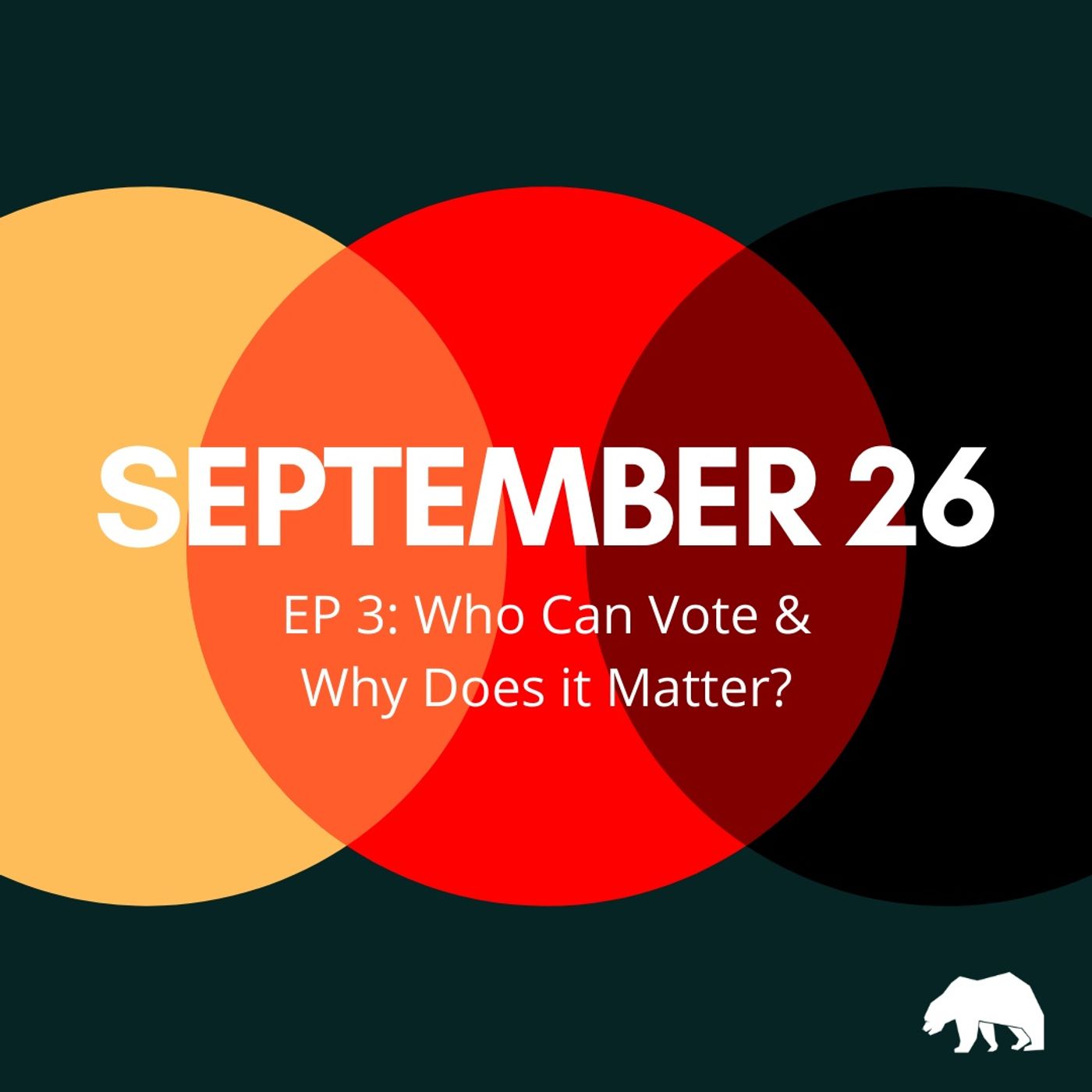 EP 3: Who Can Vote & Why Does It Matter?